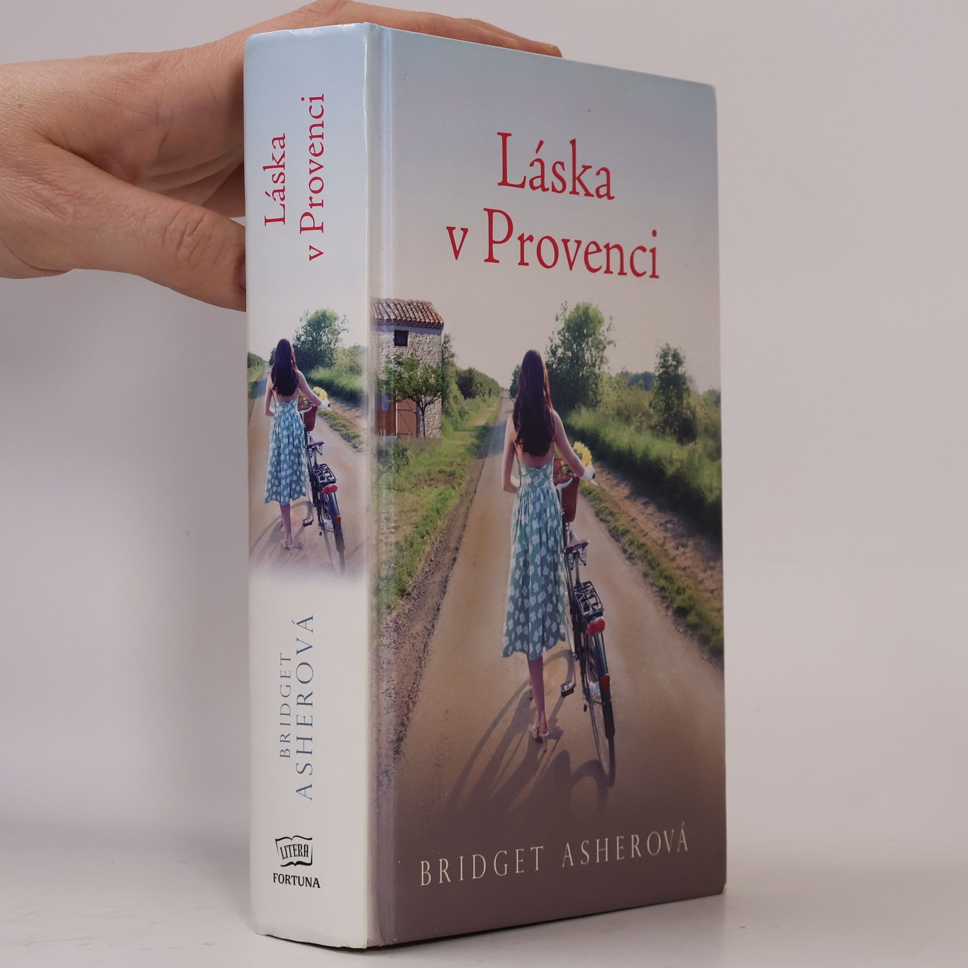 Bridget Asher Láska v Provenci
