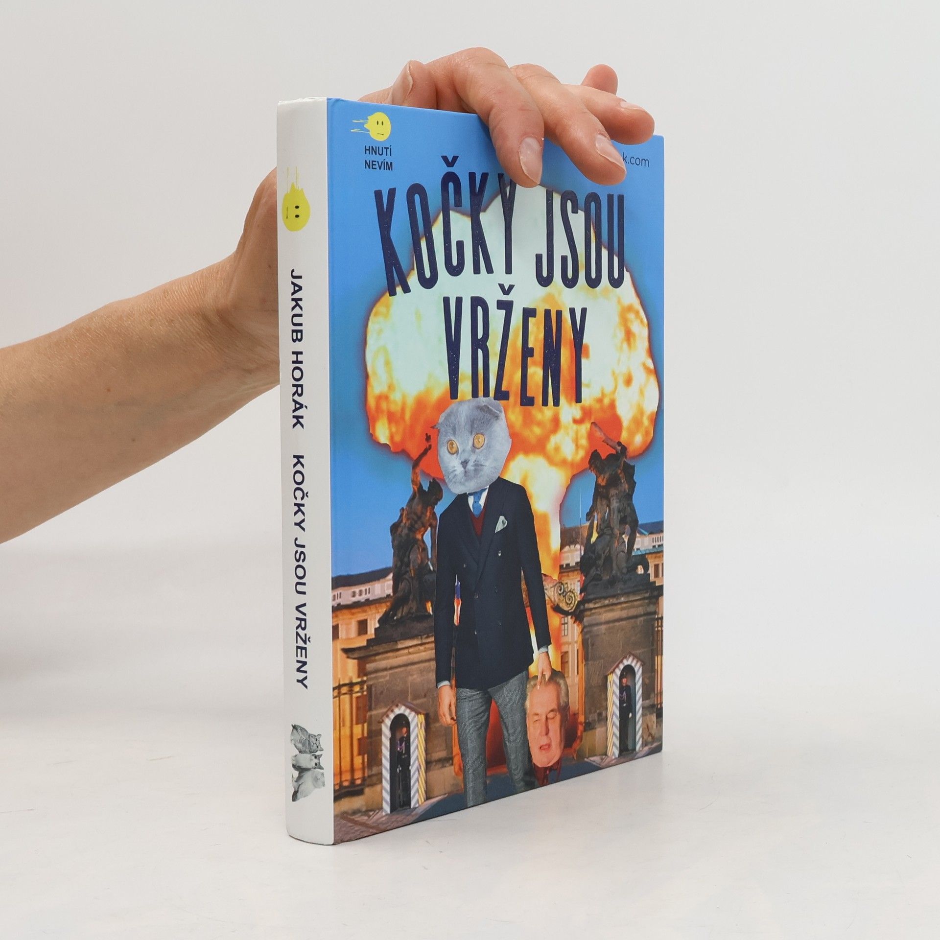 Jakub Horák Kočky jsou vrženy: Fantastický román