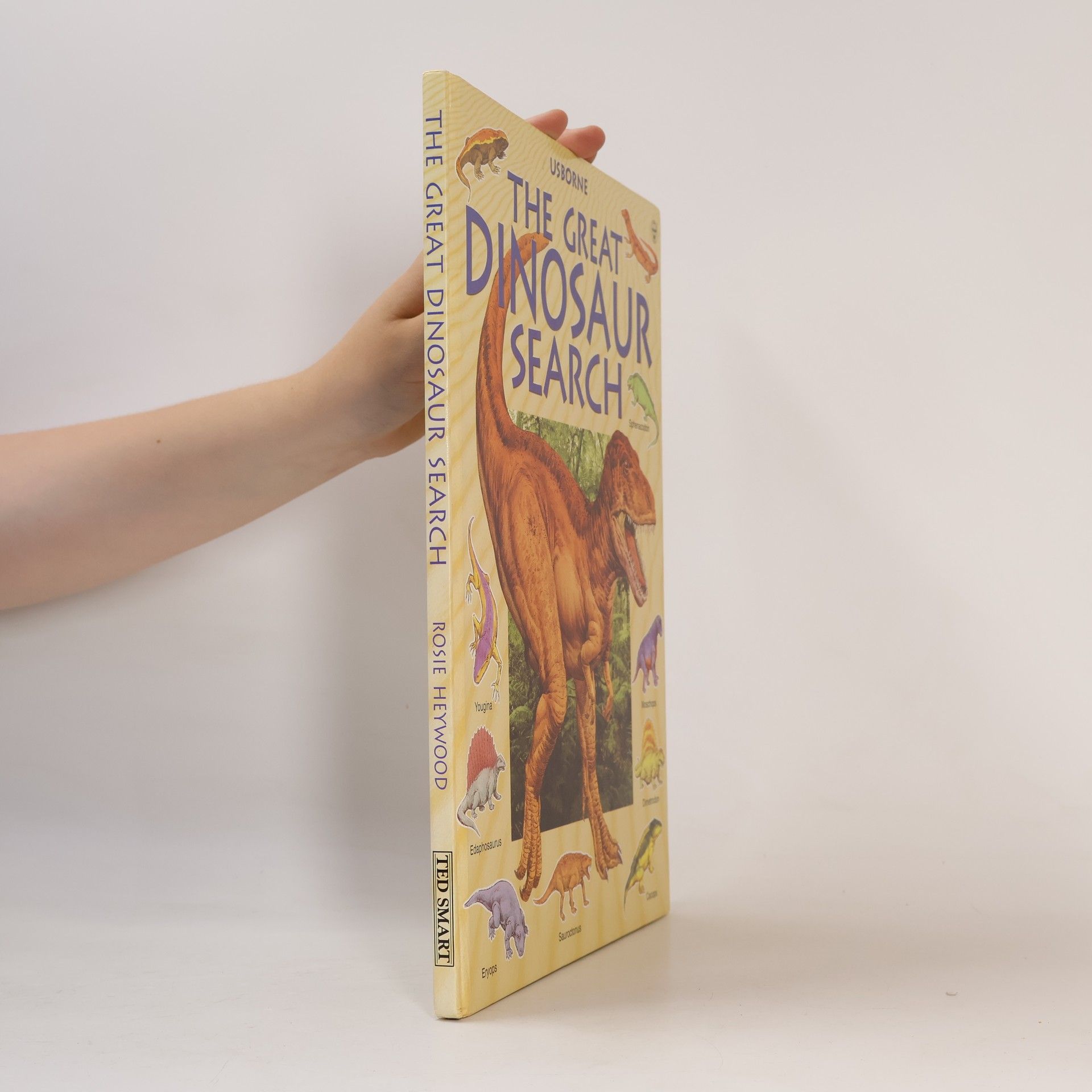 Rosie Heywood The Great Dinosaur Search