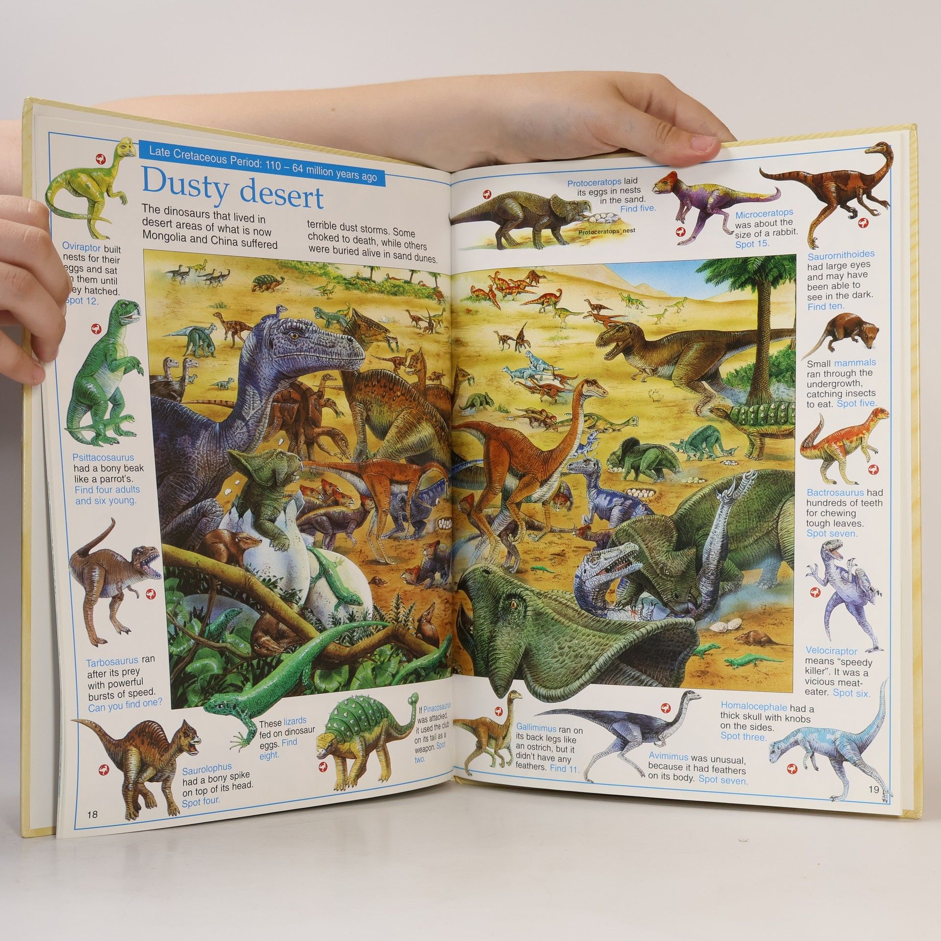 Rosie Heywood The Great Dinosaur Search