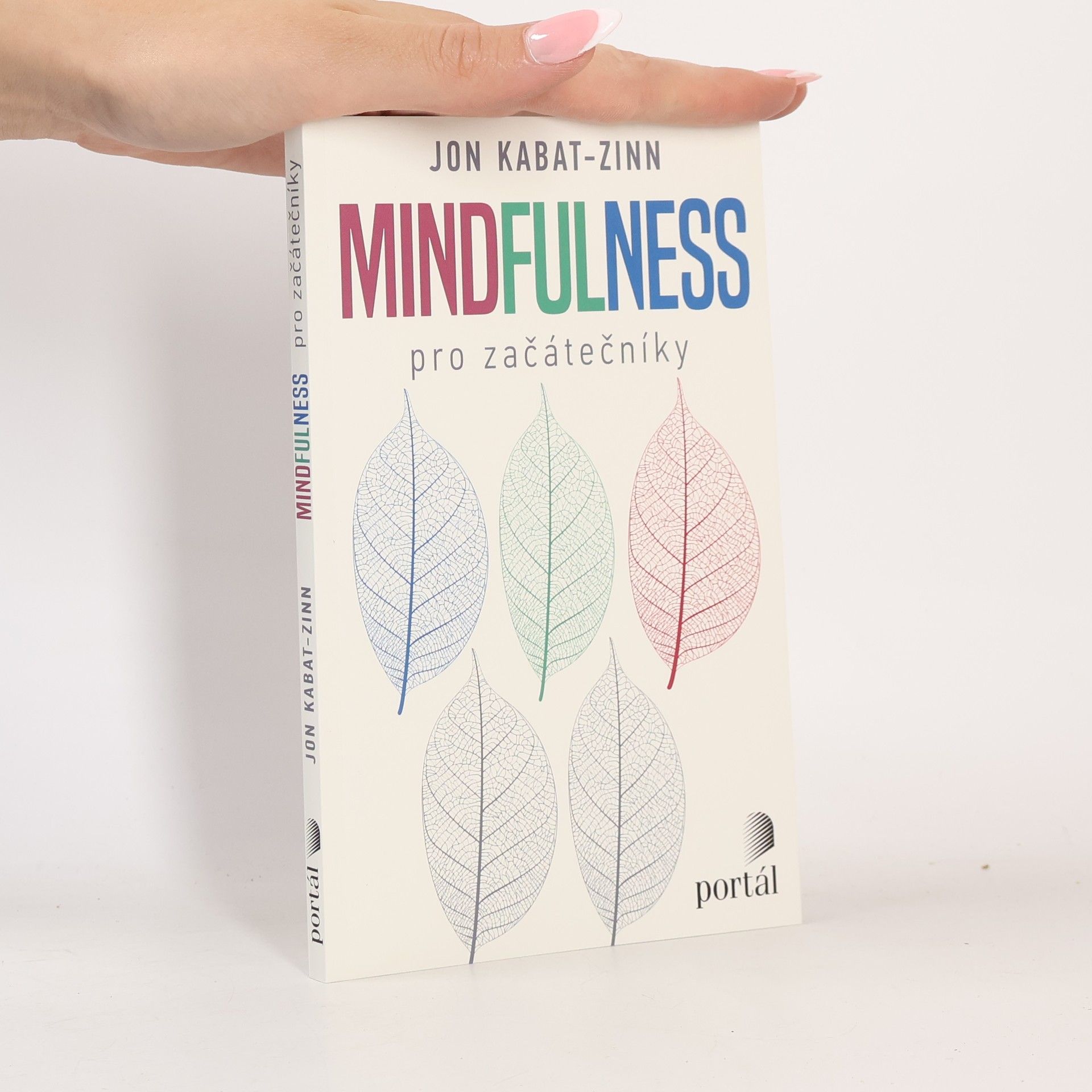 Ondřej Fafejta Mindfulness pro začátečníky