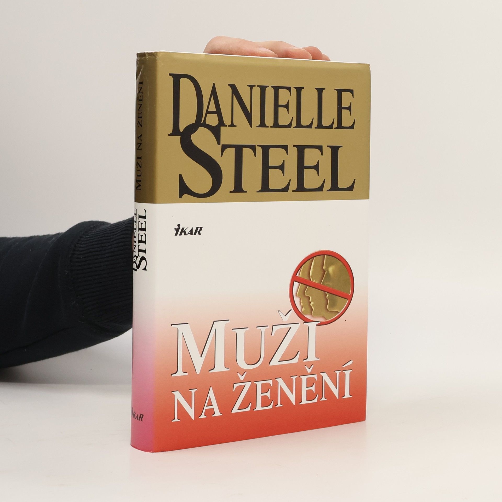 Danielle Steel Muži na ženění