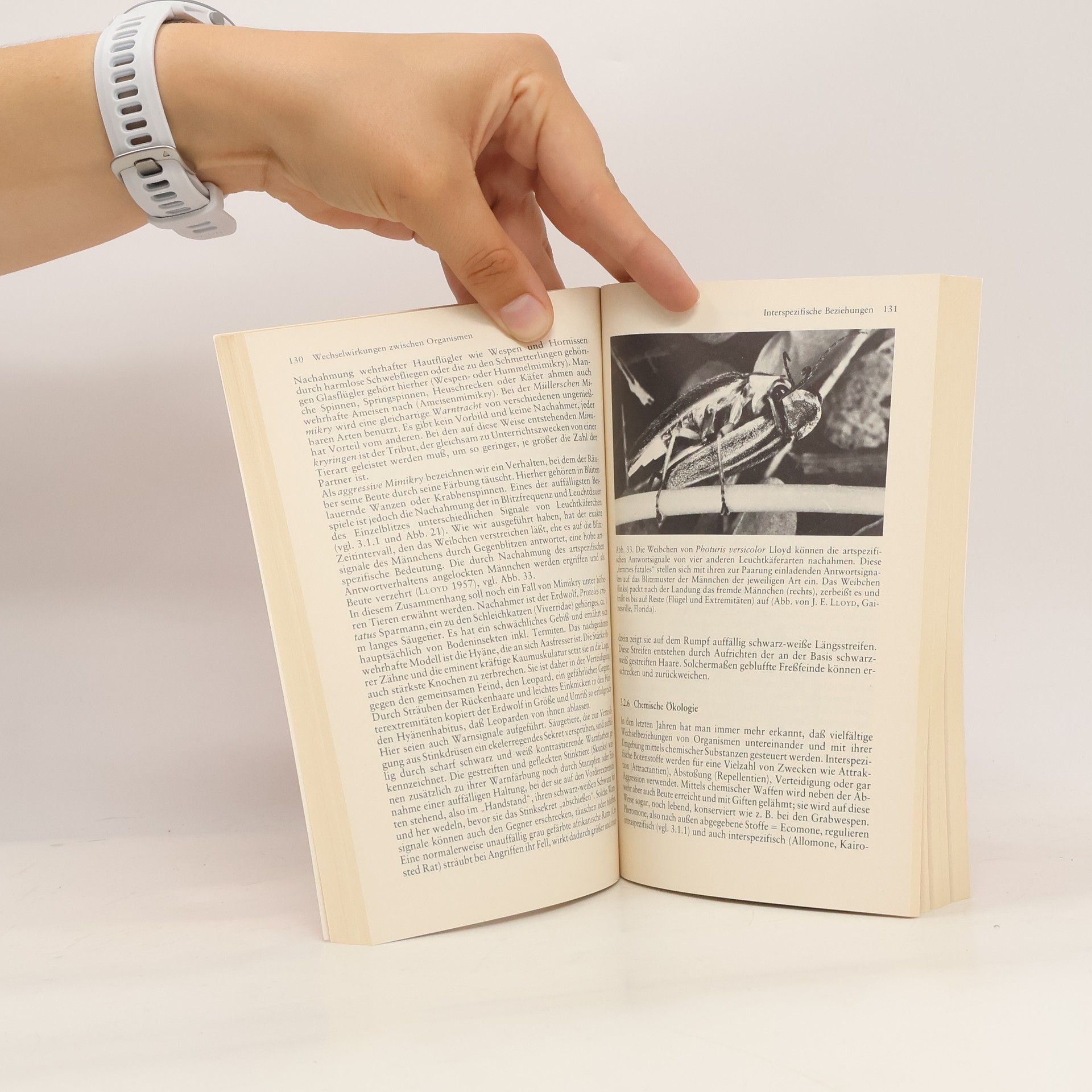 Werner J. Kloft Uni-Taschenbücher - 729: Ökologie der Tiere