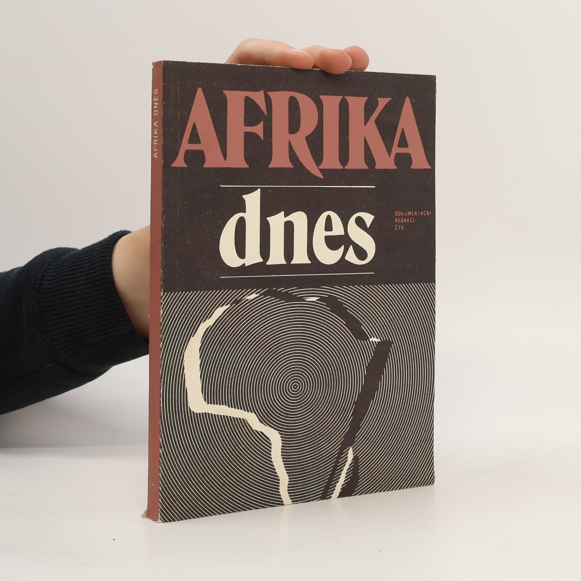 Kolektiv autorů Afrika dnes