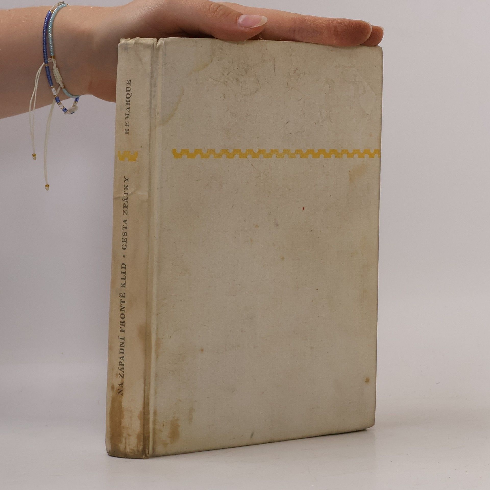 Erich Maria Remarque Na západní frontě klid / Cesta zpátky