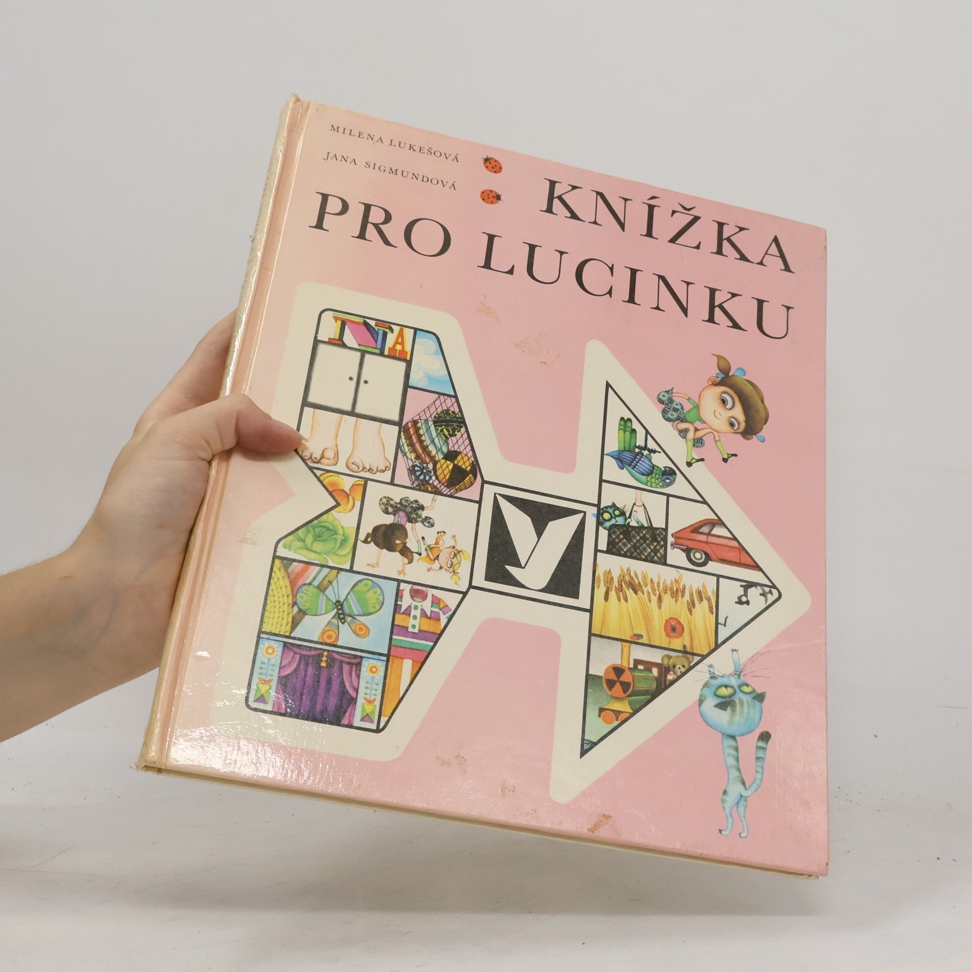 Jana Sigmundová Knížka pro Lucinku