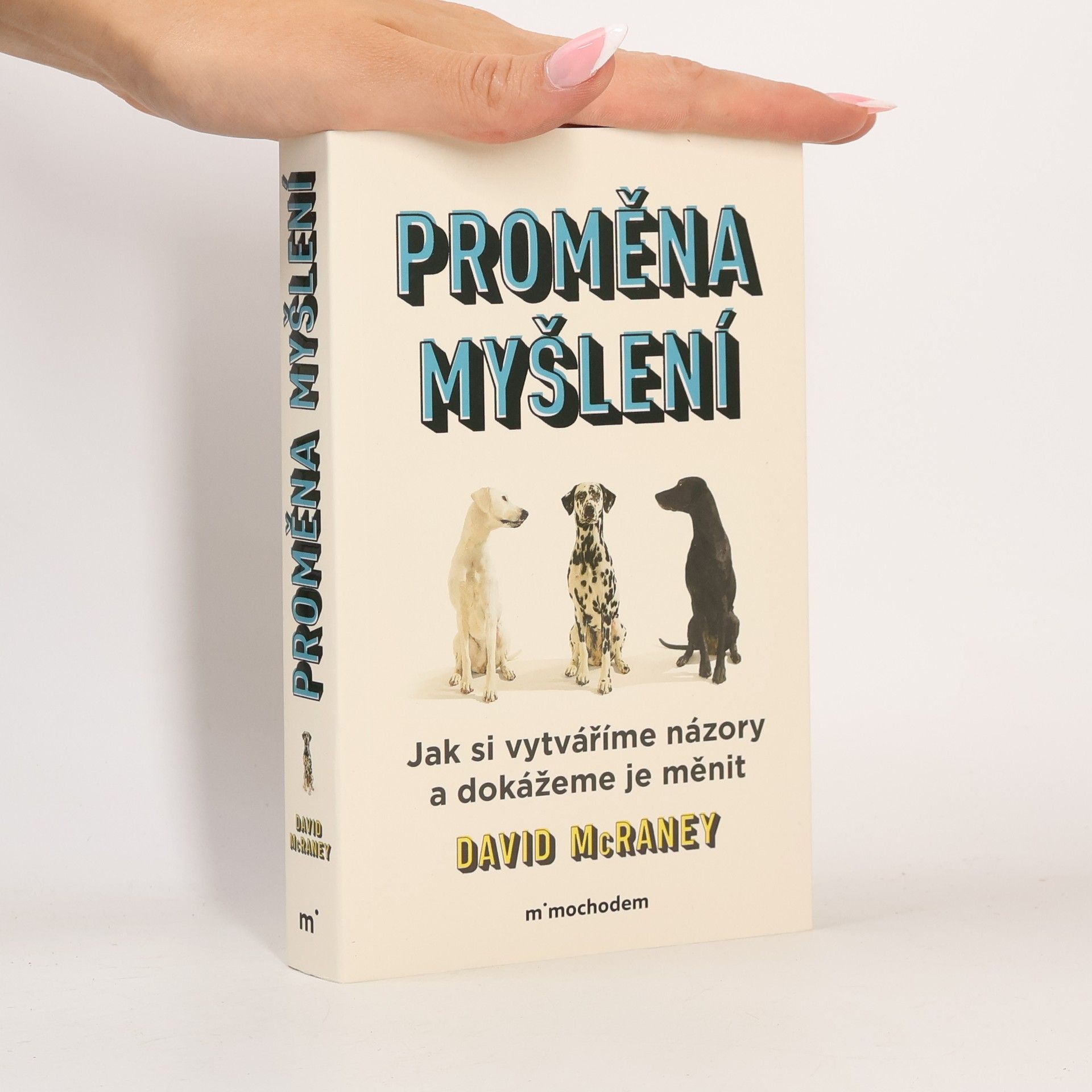 David McRaney Proměna myšlení - Jak si vytváříme názory a dokážeme je měnit