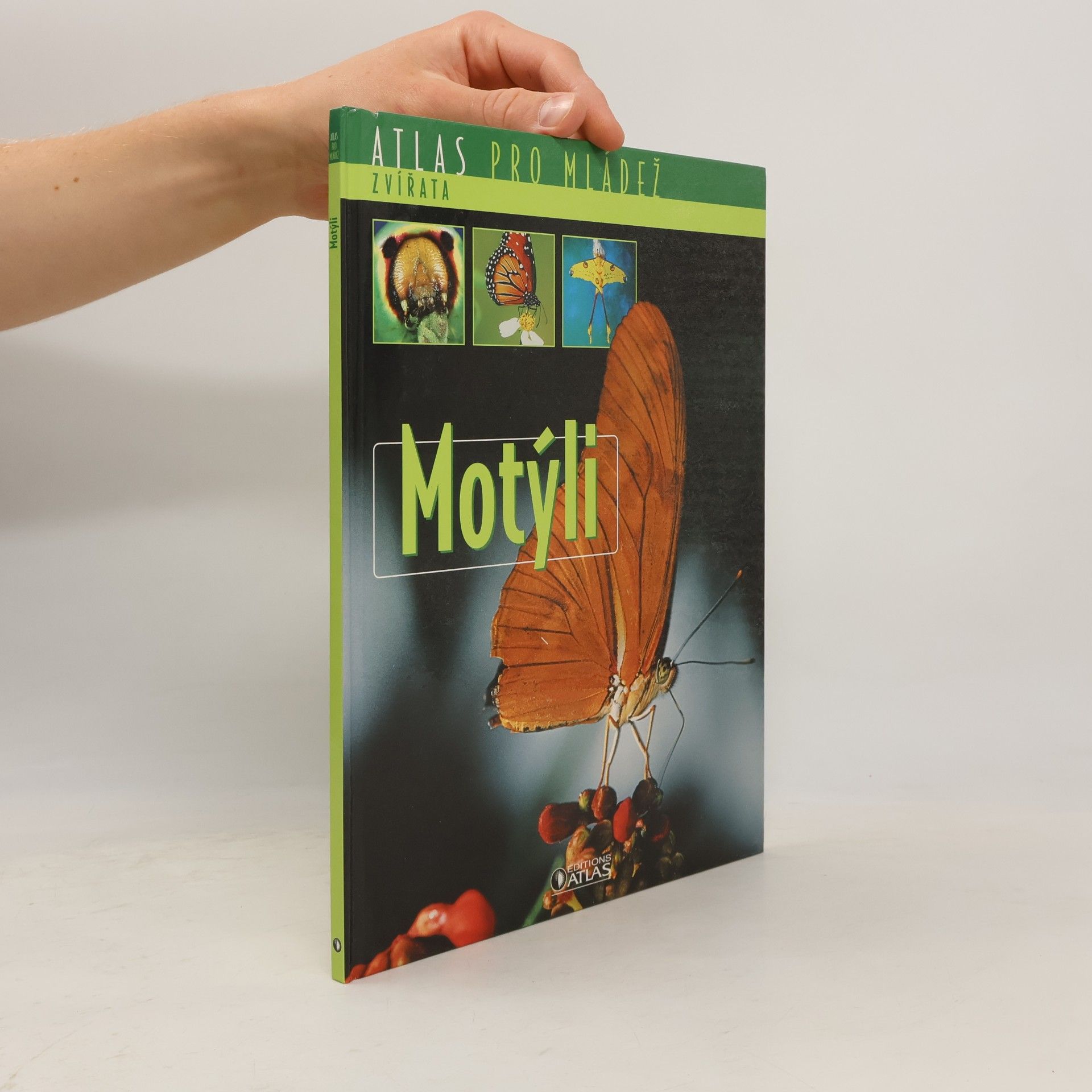 Kolektiv autorů Motýli