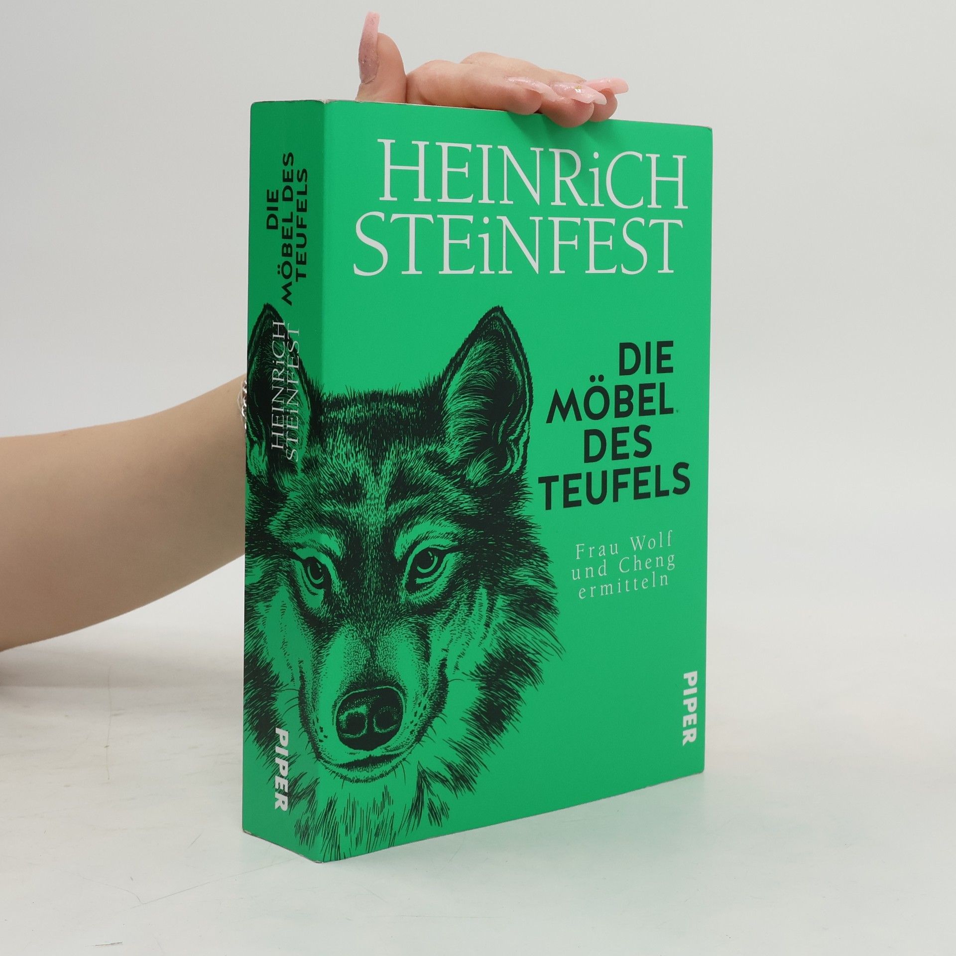 Heinrich Steinfest Die Möbel des Teufels