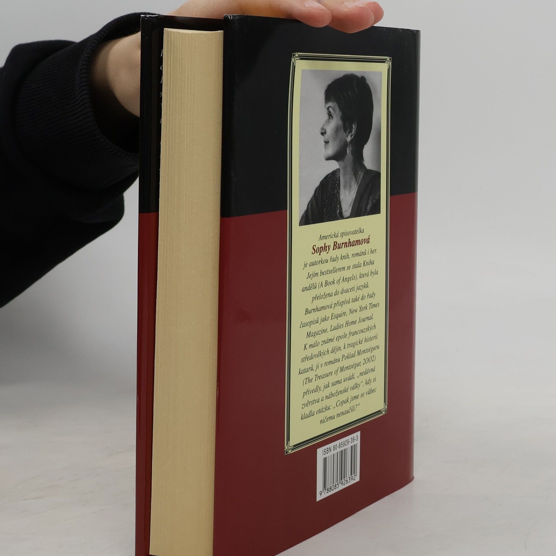Sophy Burnham Poklad Montséguru