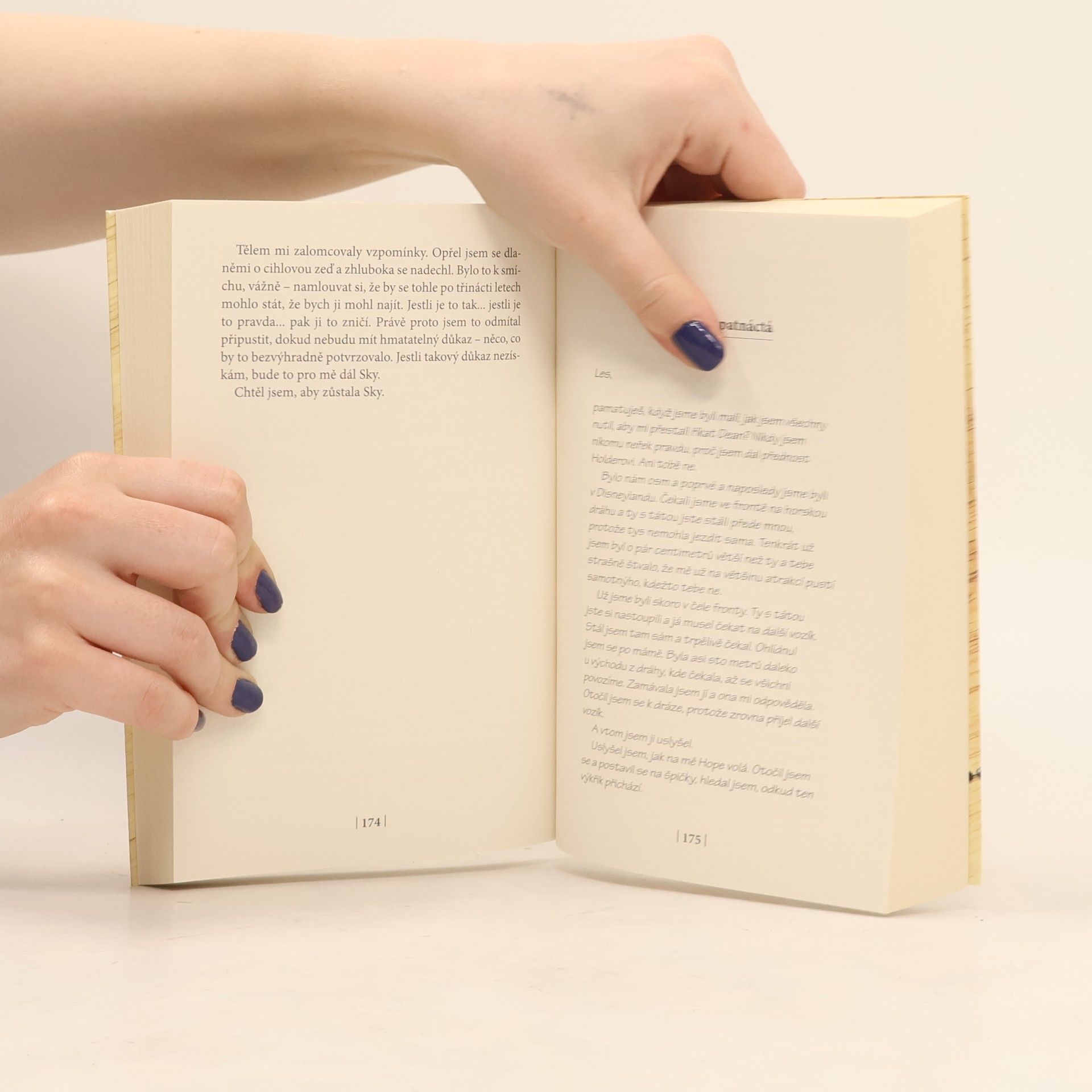 Colleen Hoover Ztracená naděje