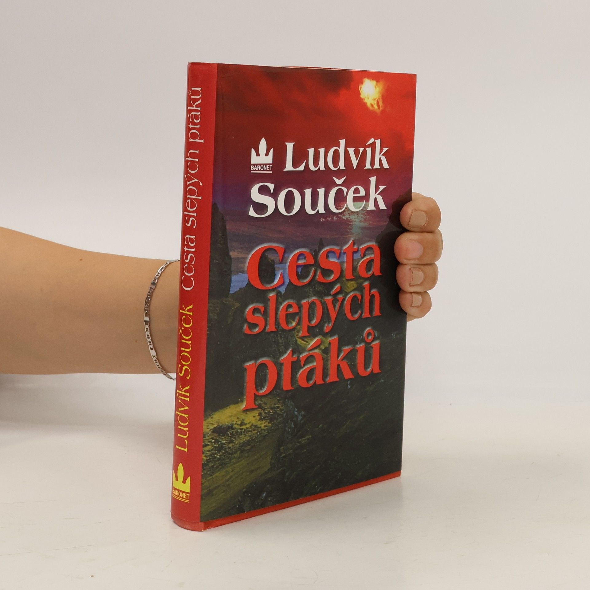 Ludvík Souček Cesta slepých ptáků