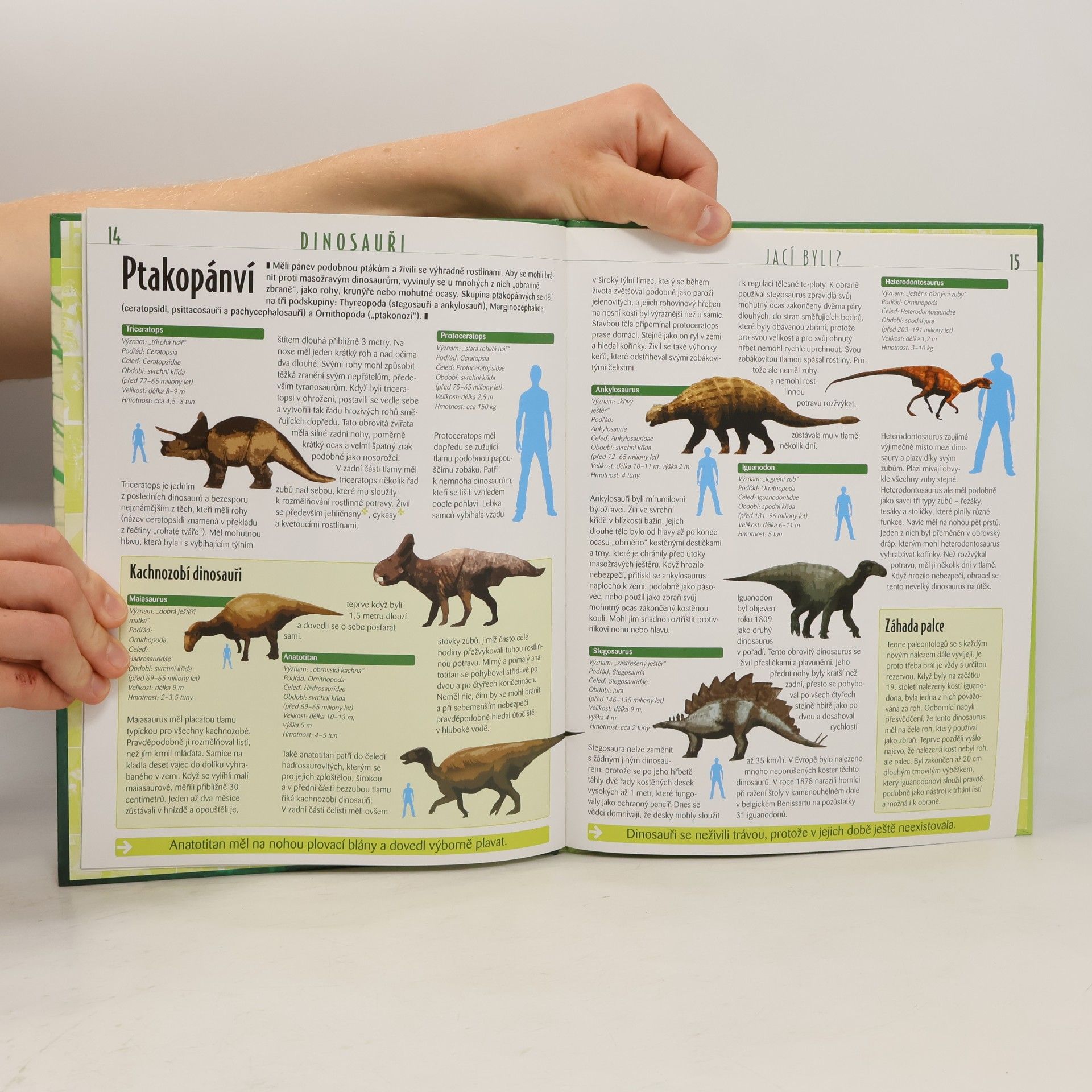 Autorenkollektiv Dinosauři. Atlas pro mládež