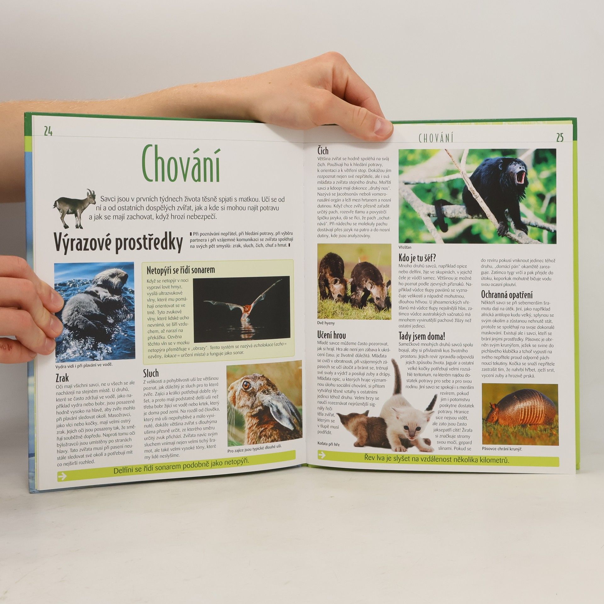 Kolektiv autorů Savci