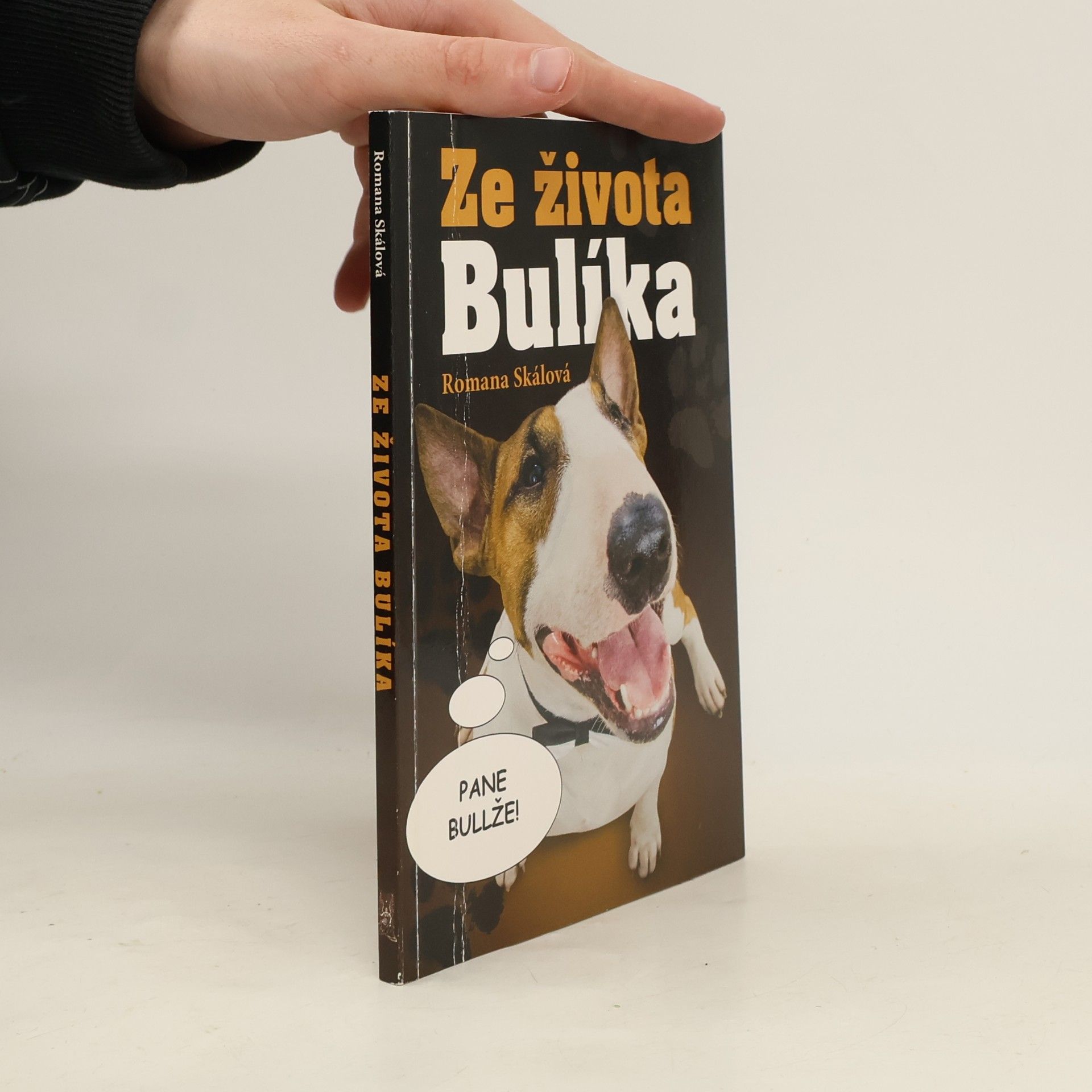 Romana Skálová Ze života Bulíka. Ze života Bulíka 2. Pokračování Dexterových příběhů. 2 knihy