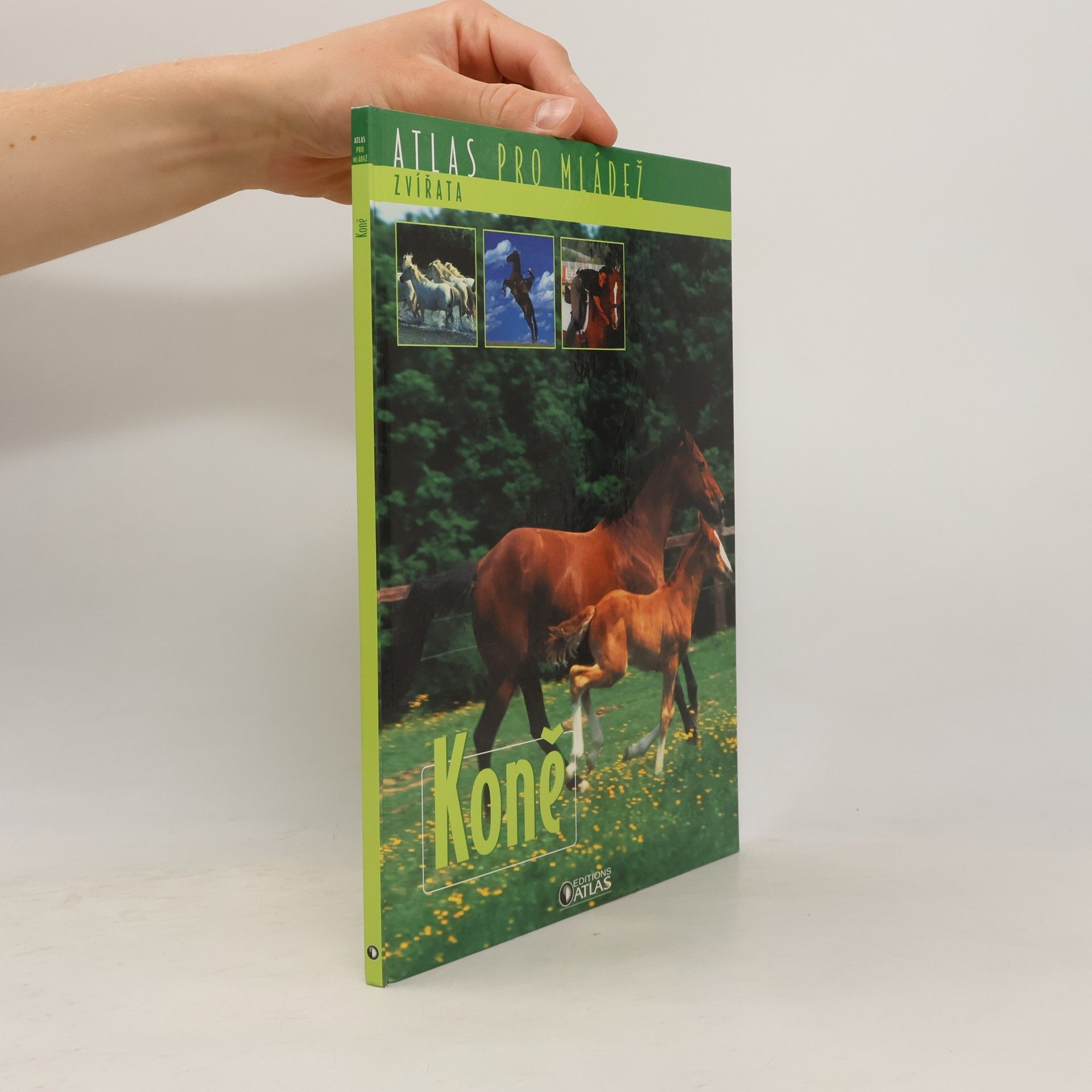 Collectif d'auteurs Koně. Atlas pro mládež
