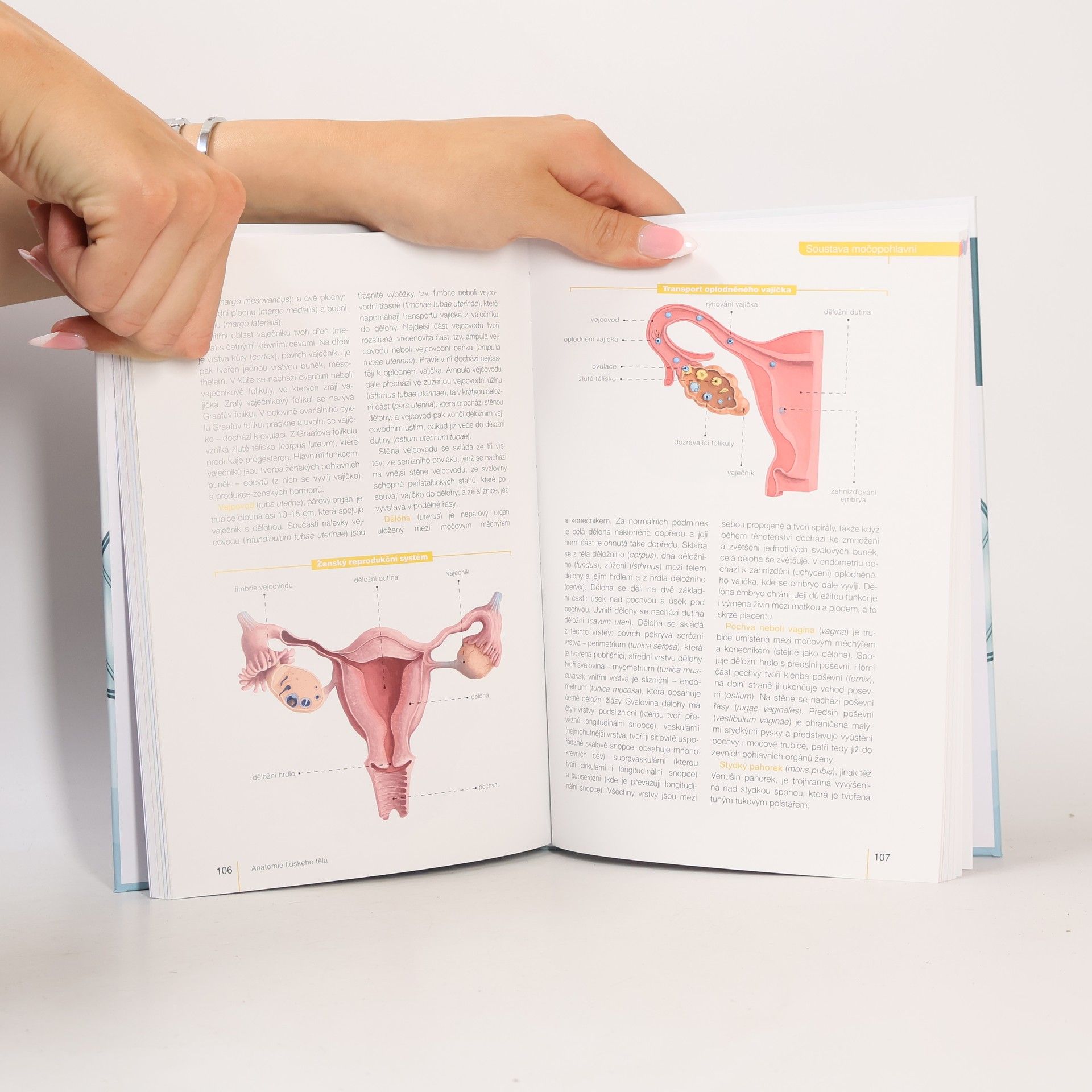 Mazurek Justyna Anatomie lidského těla