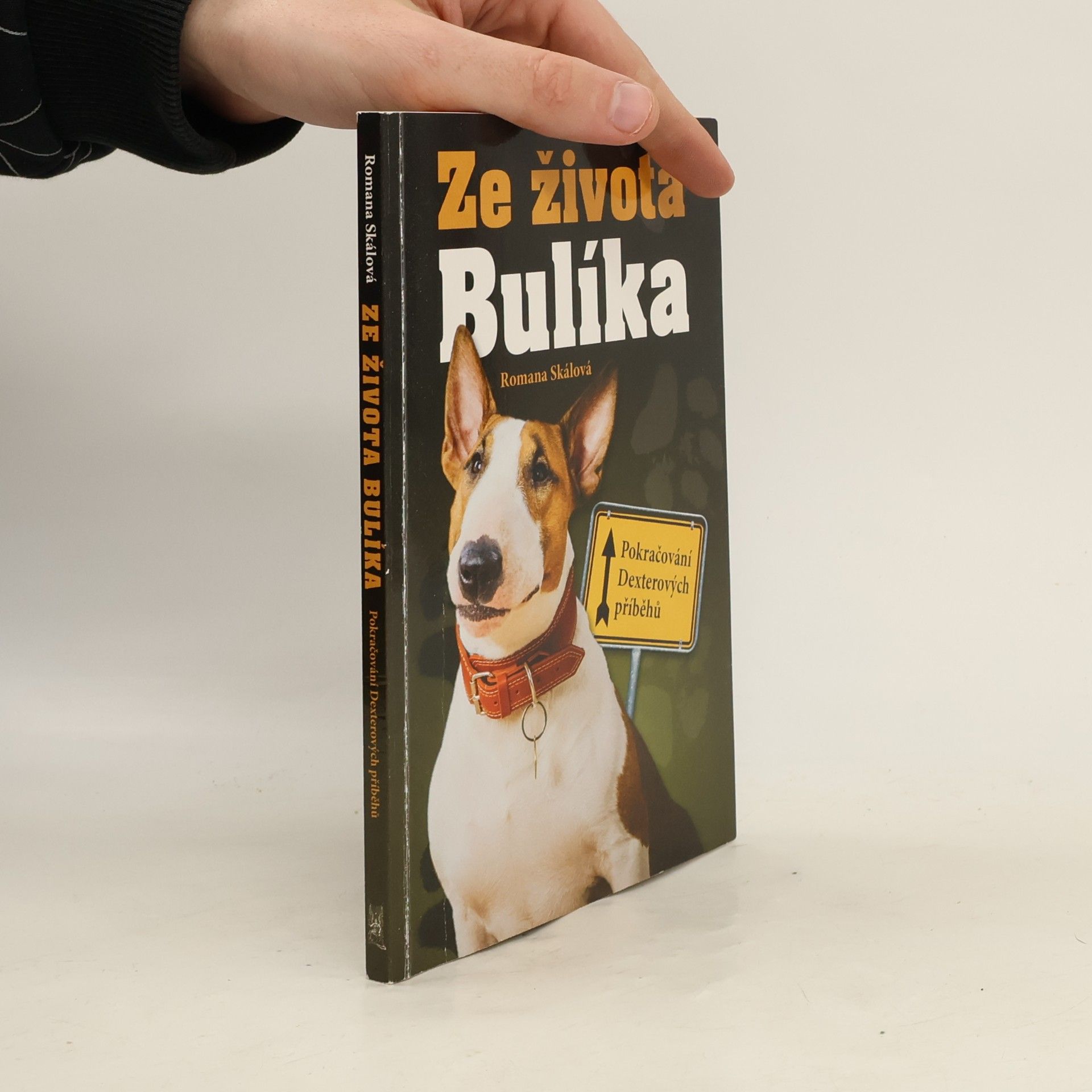 Ze života Bulíka - Pokračování Dexterových příběhů