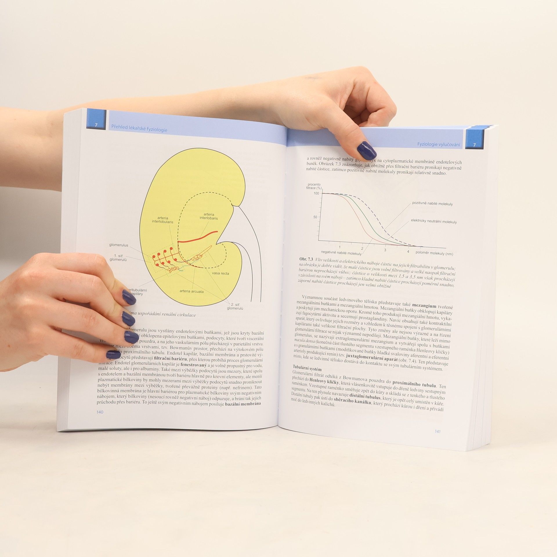 Otomar Kittnar Přehled lékařské fyziologie