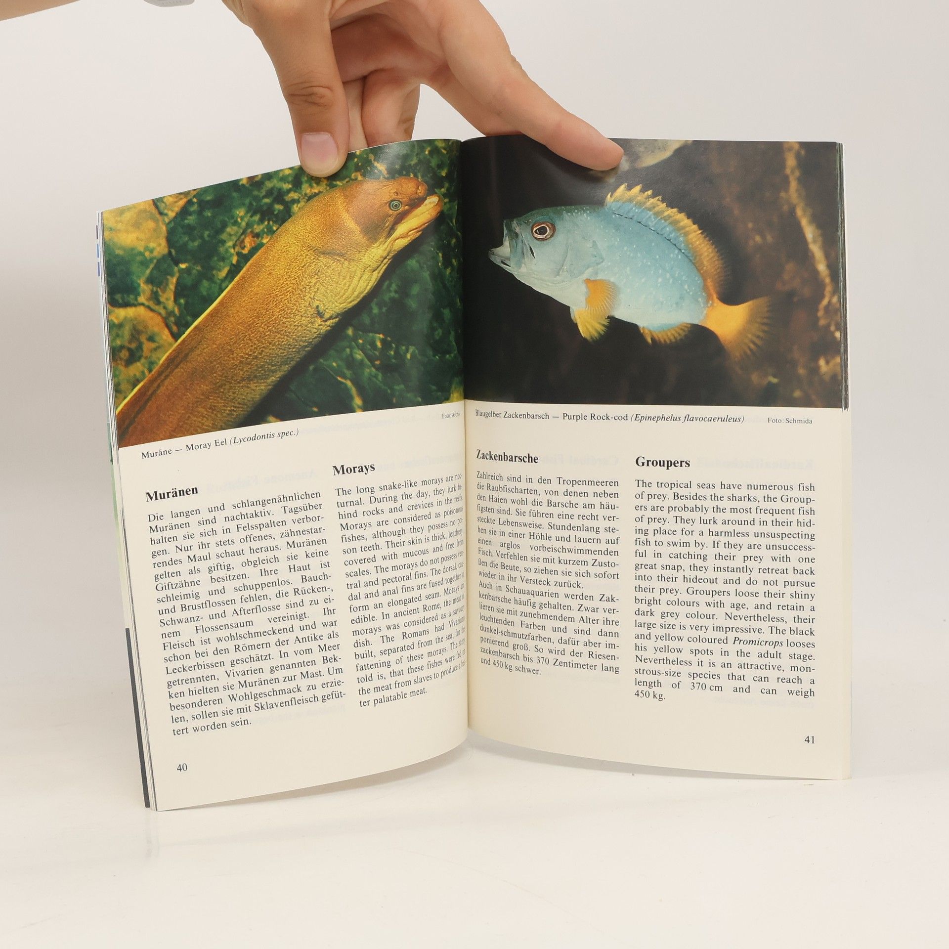 Autorenkollektiv 70 Jahre Aquarium Zoo Berlin