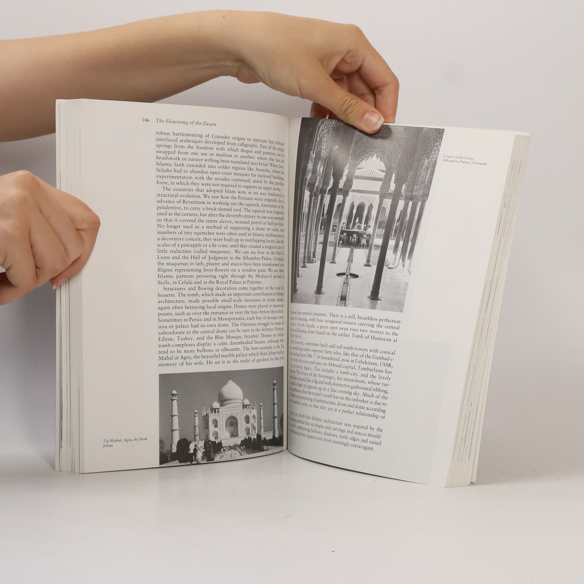 Patrick Nuttgens The Story of Architecture
