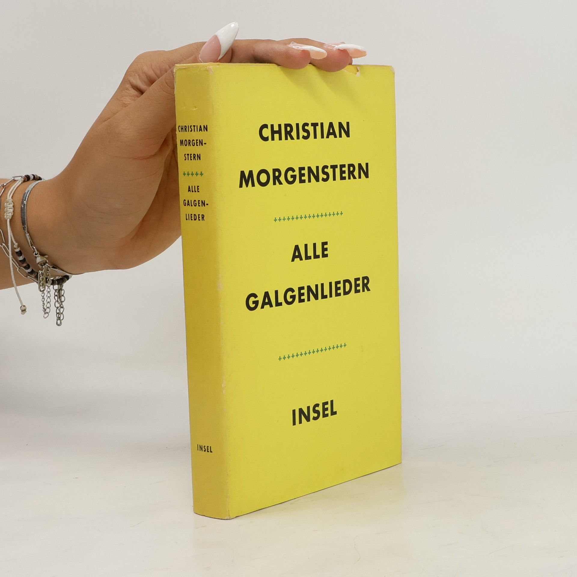 Christian Morgenstern Alle Galgenlieder