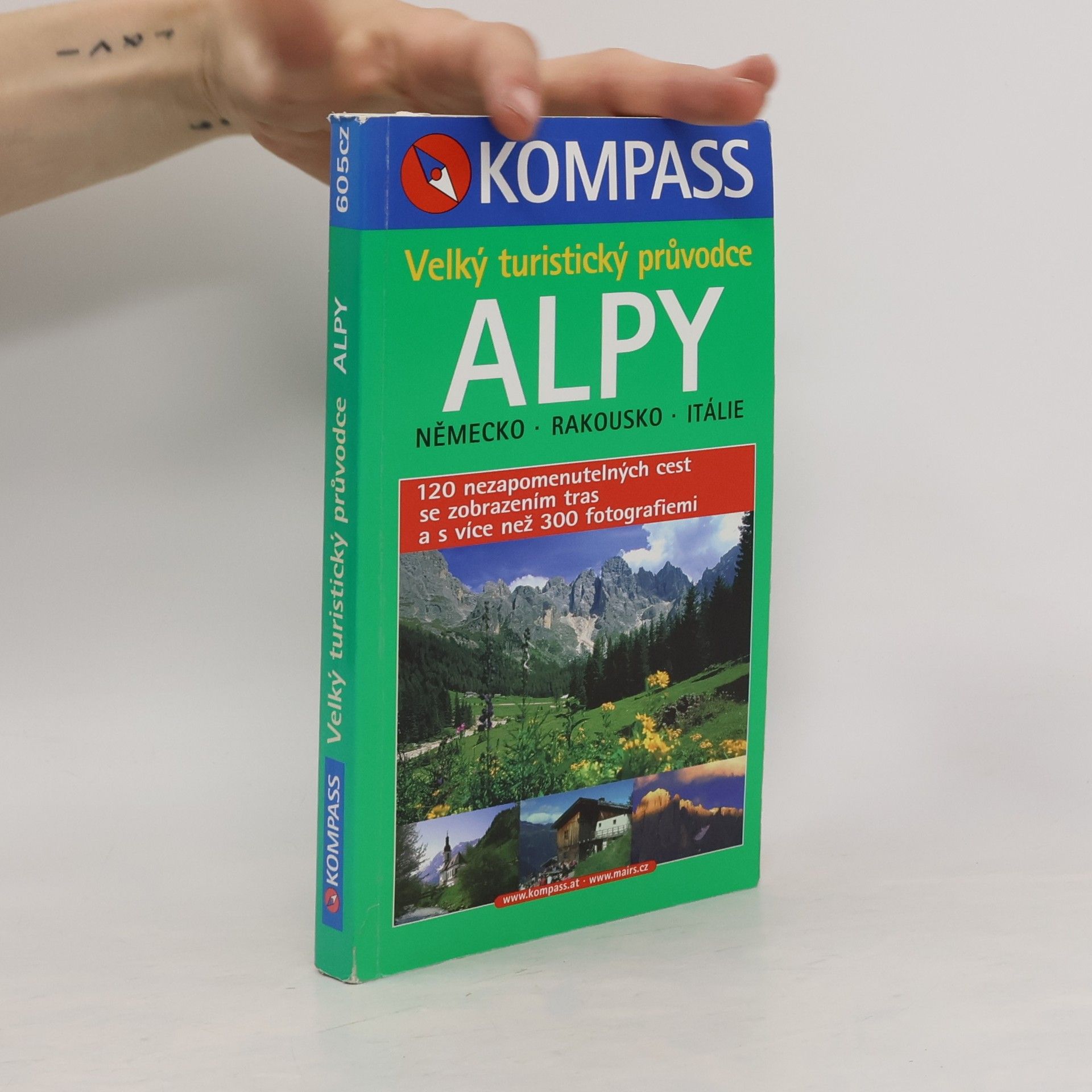 Kolektiv autorů Alpy. Velký turistický průvodce. Německo. Rakousko. Itálie