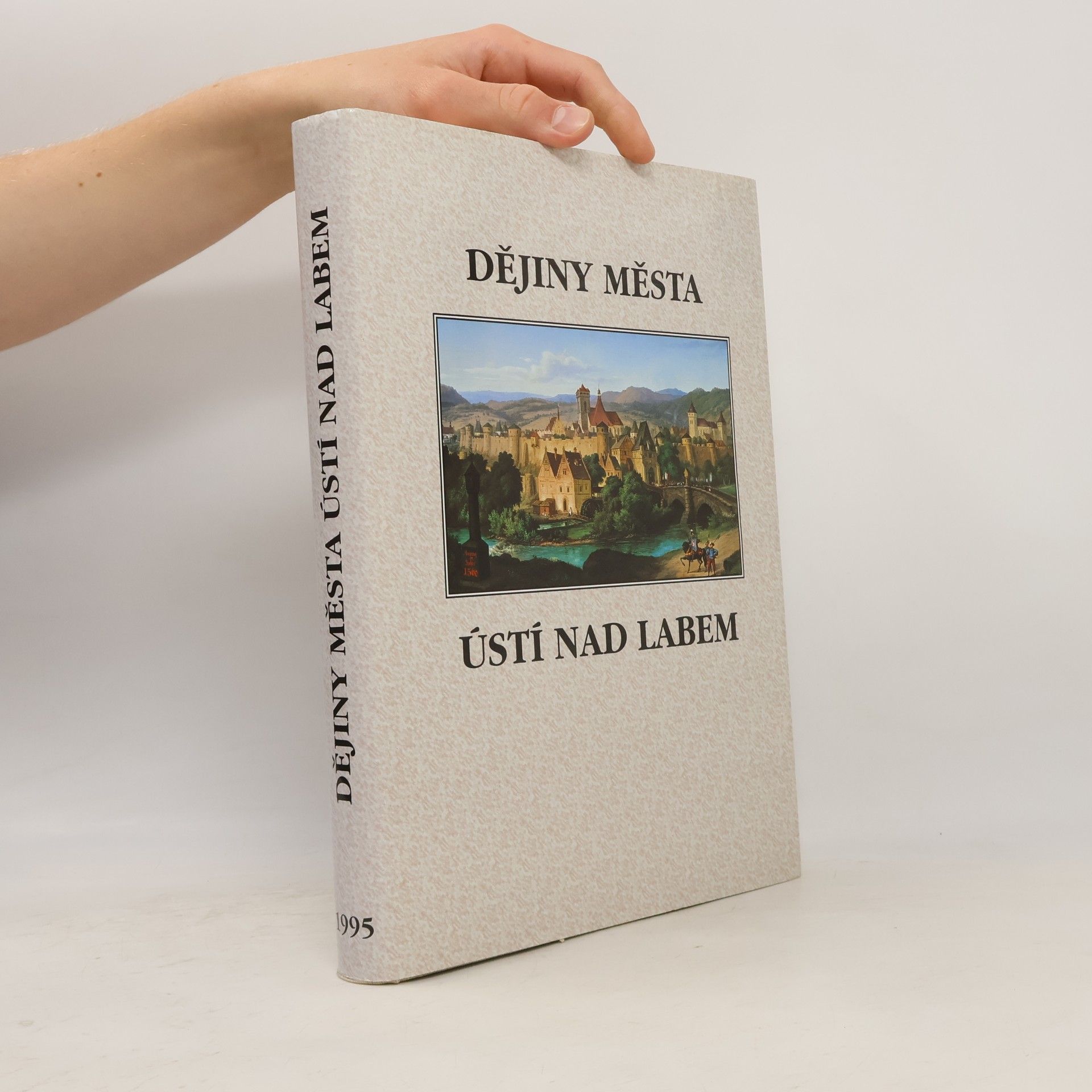 Autorenkollektiv Dějiny města Ústí nad Labem