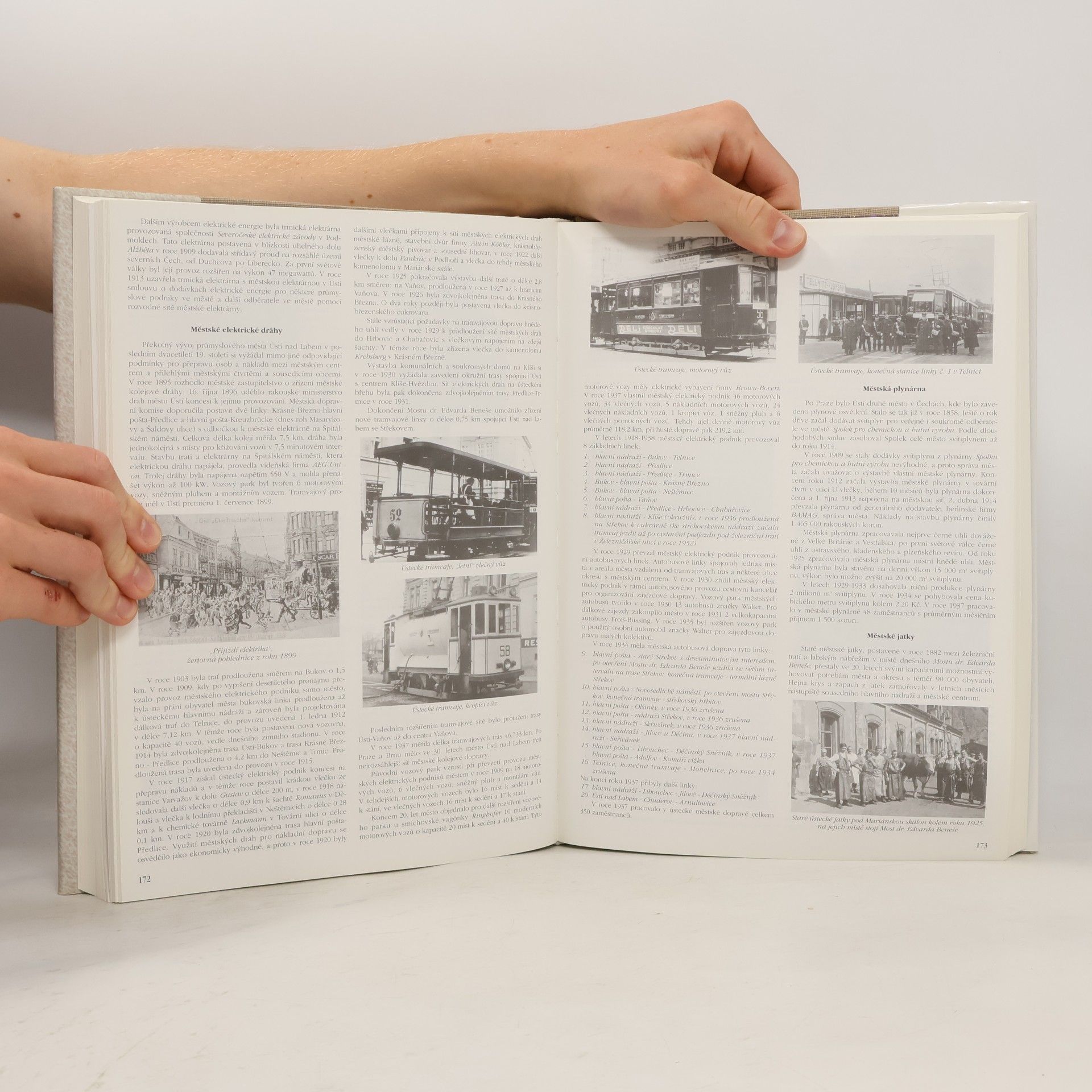 Autorenkollektiv Dějiny města Ústí nad Labem