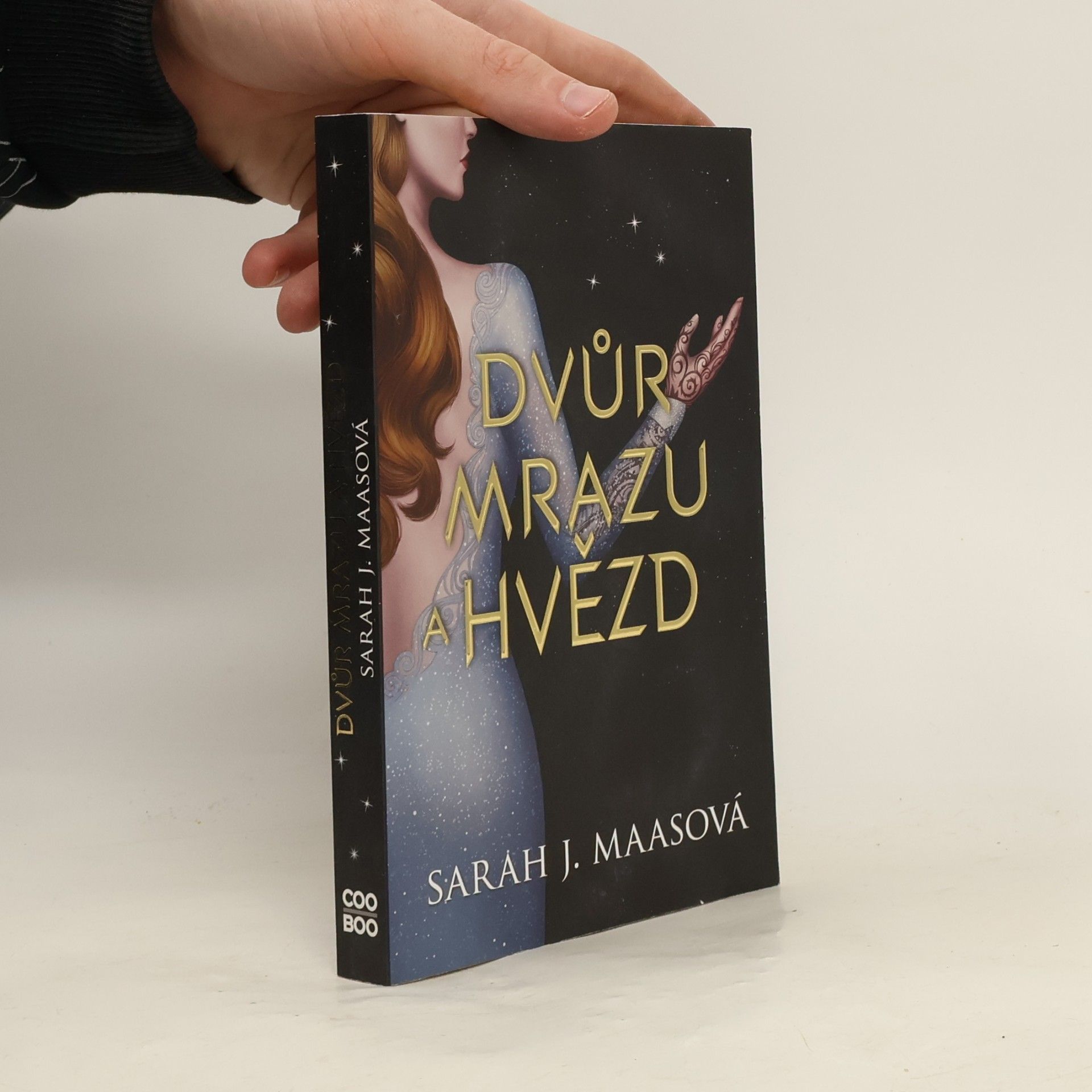 Sarah J. Maas Dvůr mrazu a hvězd