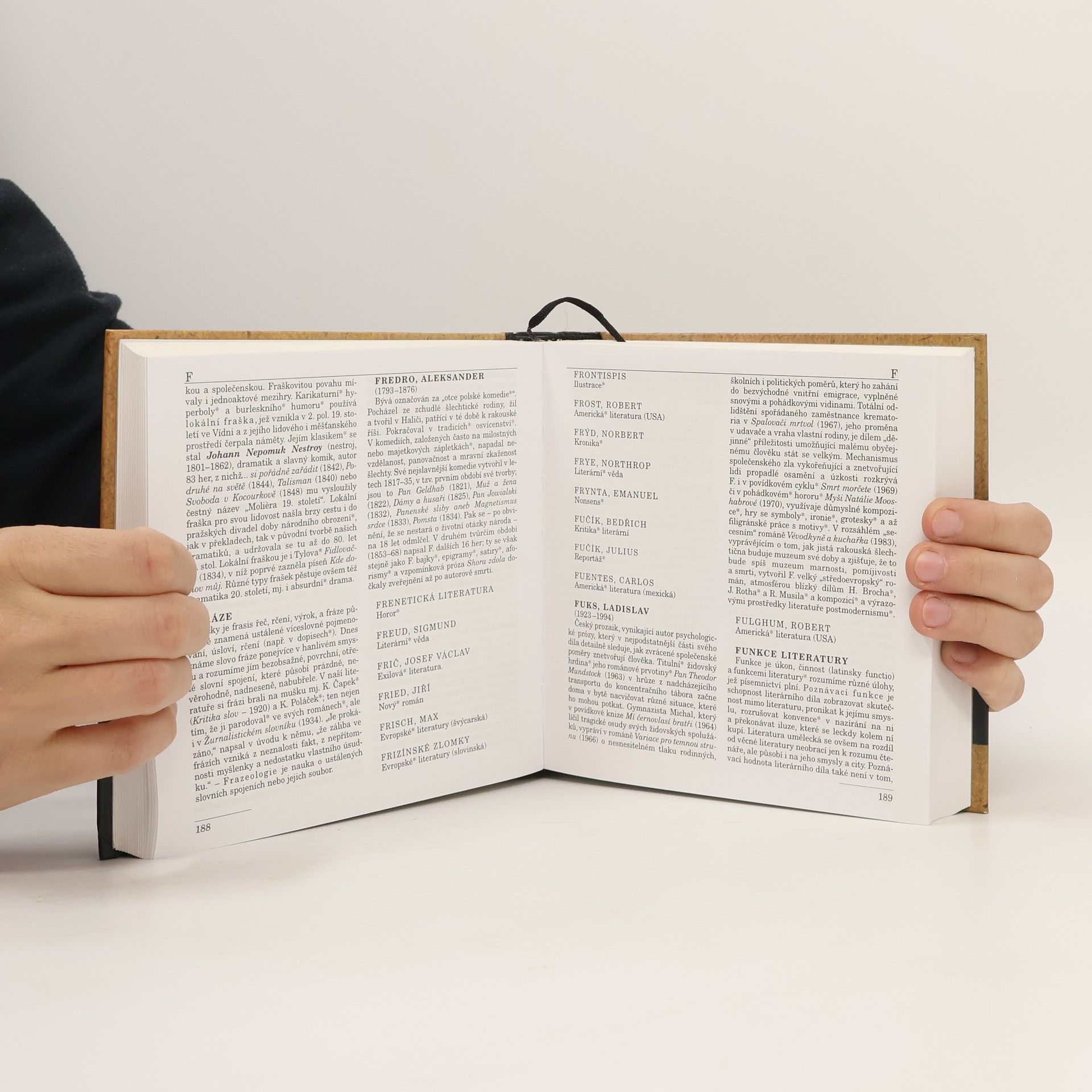 Dušan Karpatský Malý labyrint literatury