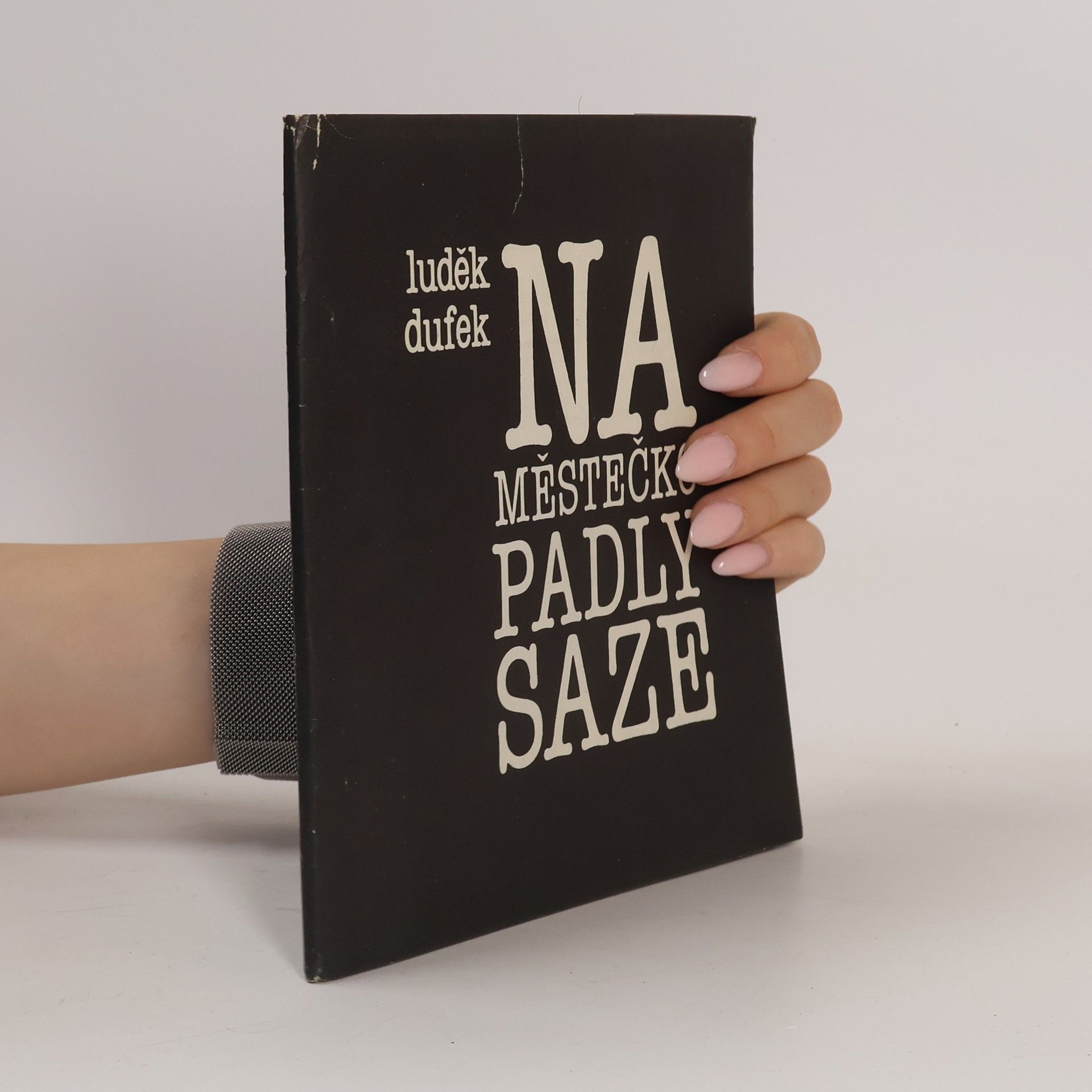 Luděk Dufek Na městečko padly saze