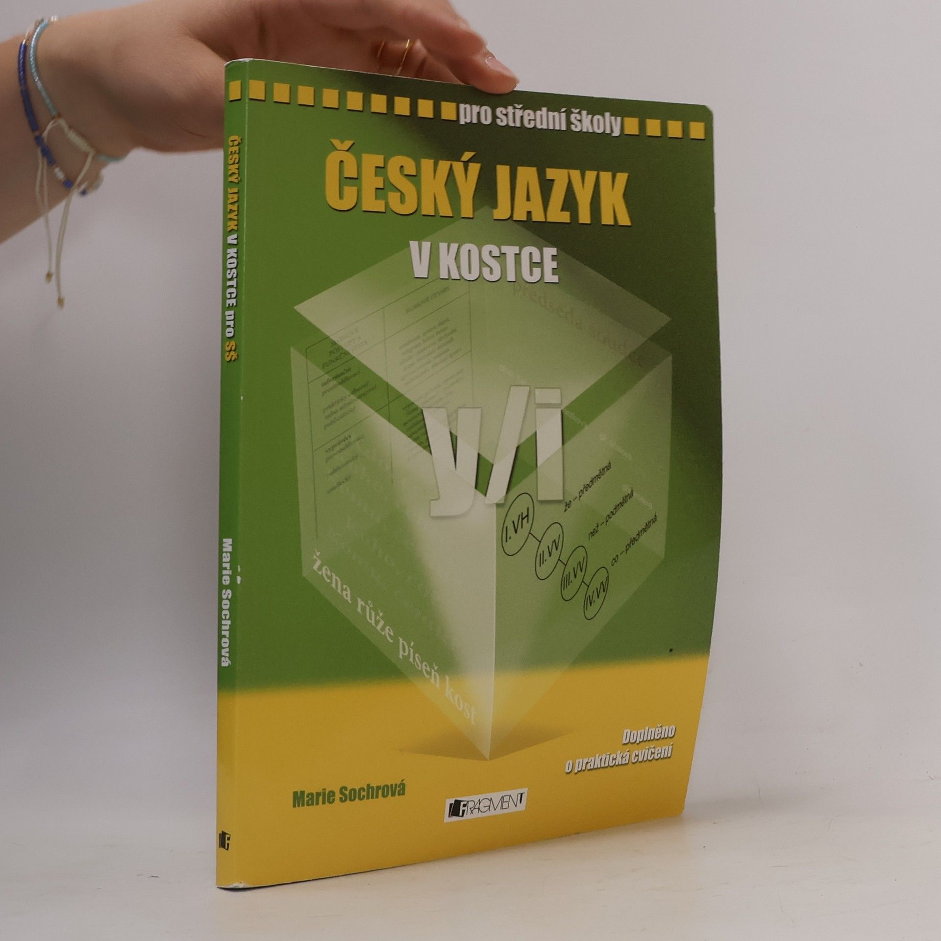 Marie Sochrová Český jazyk v kostce : pro střední školy