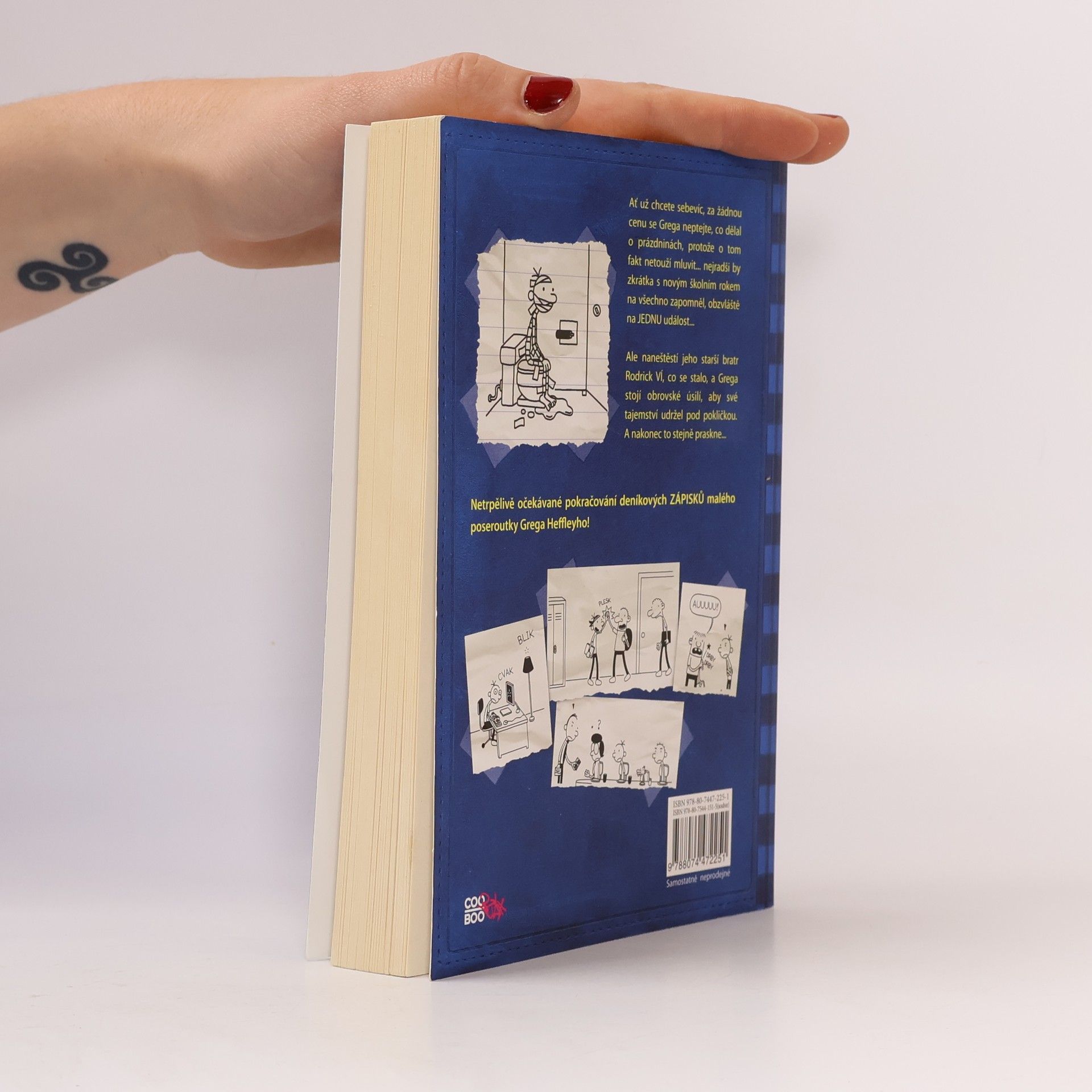 Jeff Kinney Deník malého poseroutky 2. Roderick je King