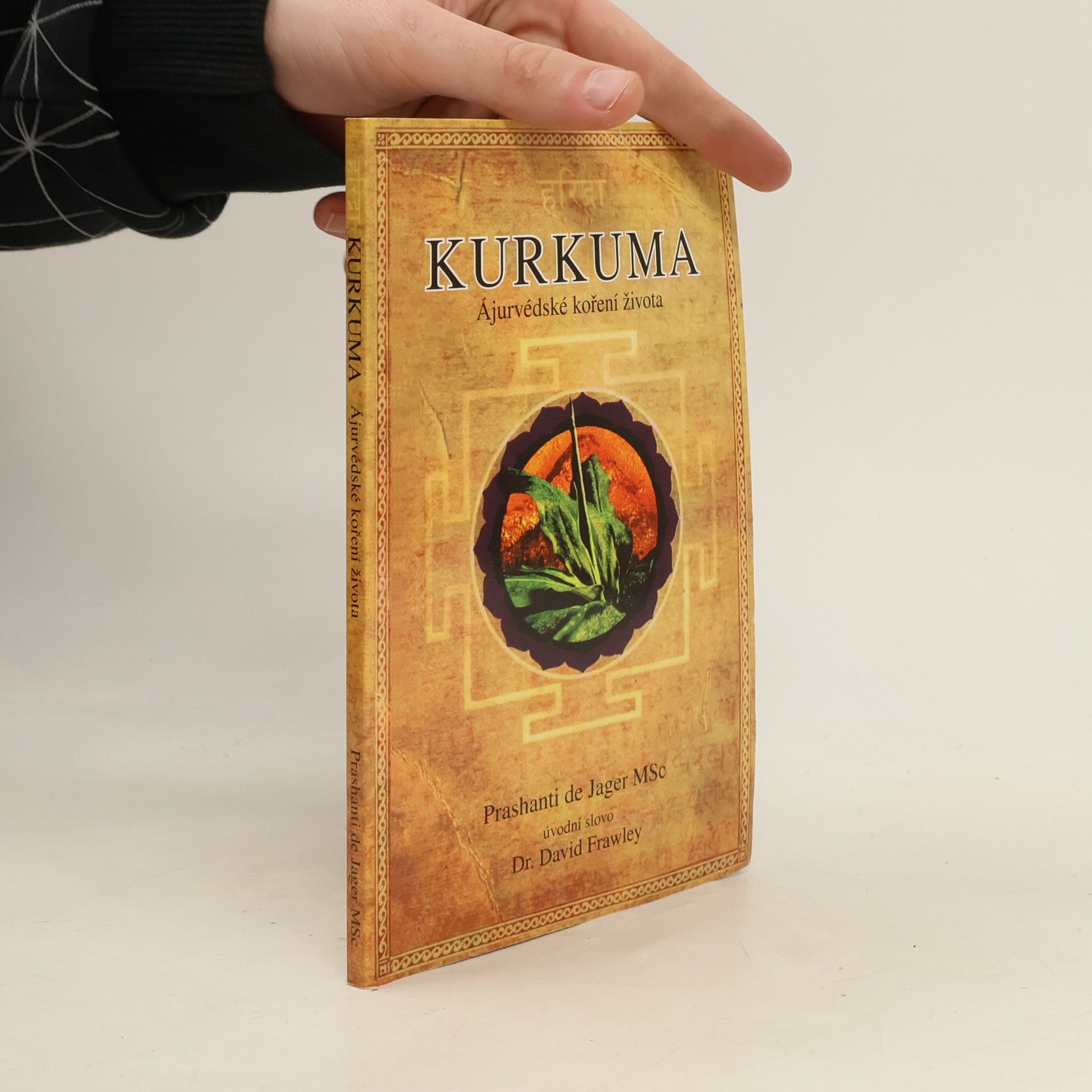 Prashanti De Jager Kurkuma - Ájurvédské koření života