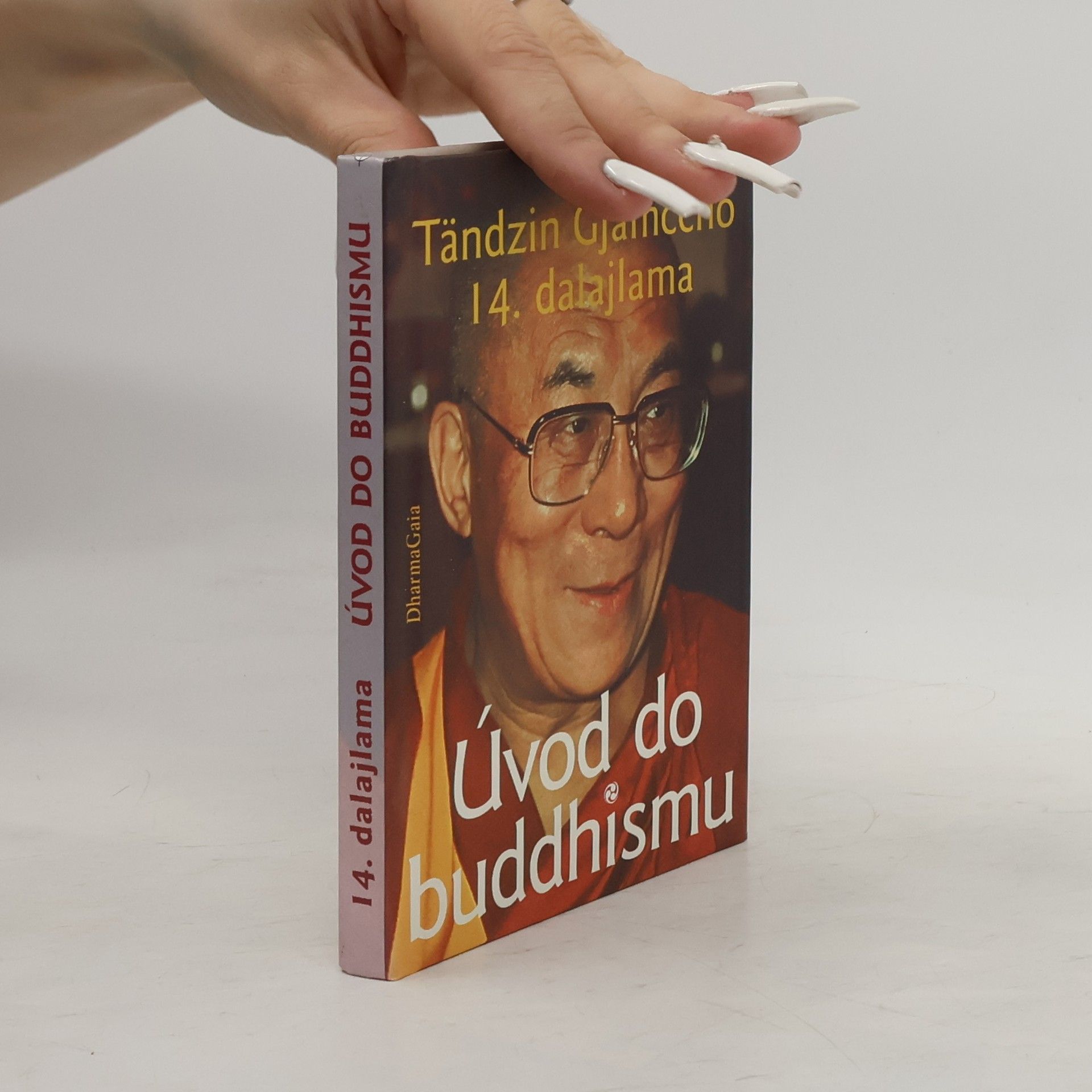 Bstan\'dzinrgyamtsho Úvod do buddhismu