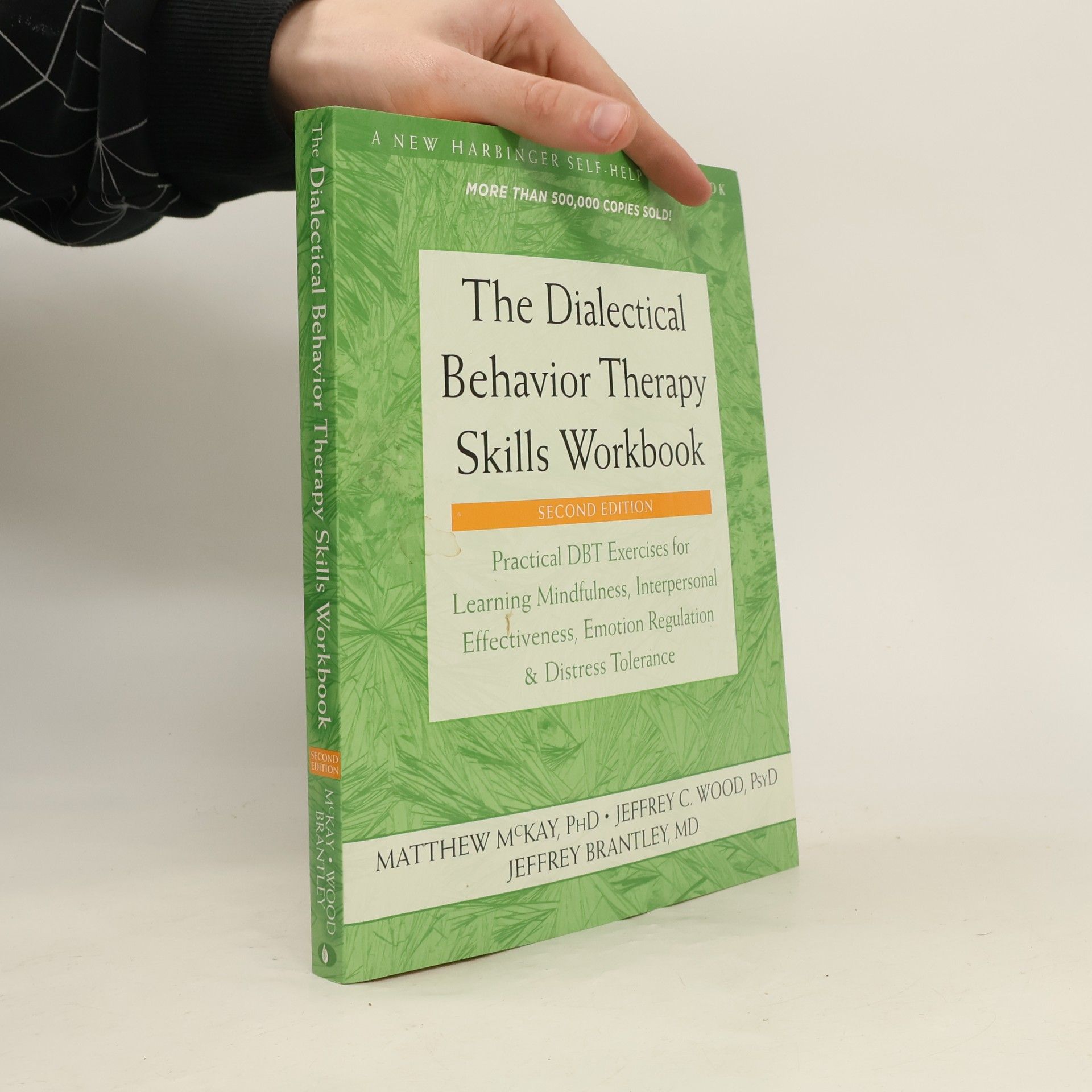 Matthew McKay The Dialectical Behavior Therapy Skills Workbook