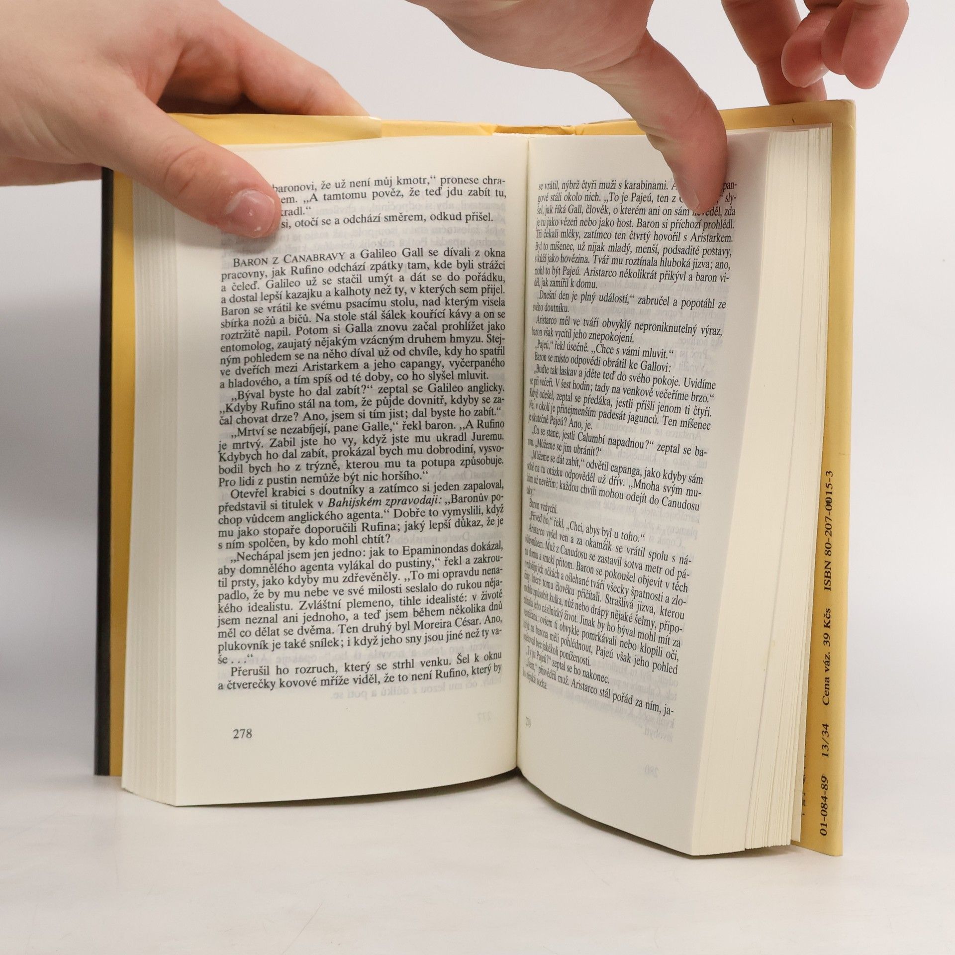 Mario Vargas Llosa Válka na konci světa