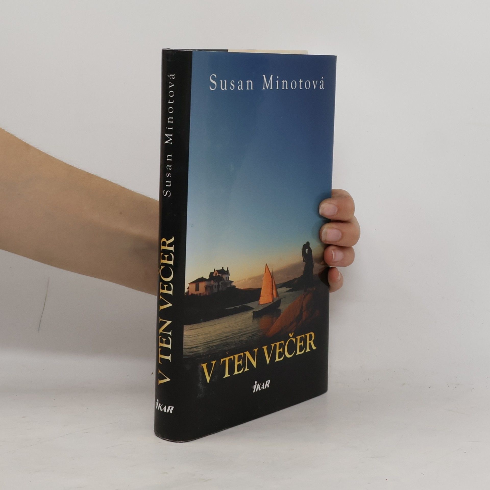 Susan Minot V ten večer