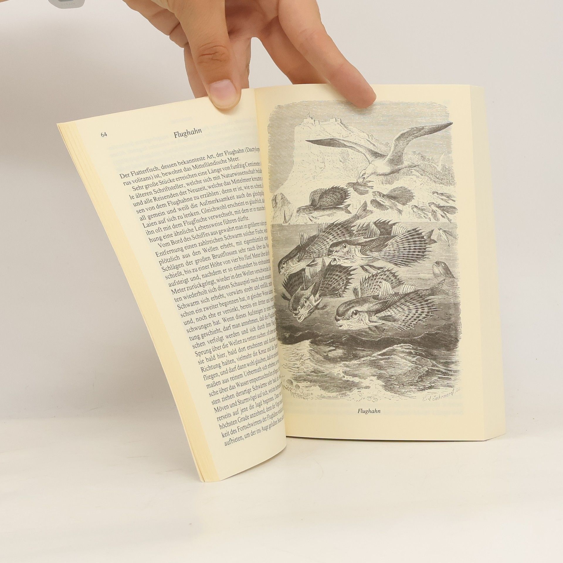 Alfred Edmund Brehm Brehm’s Thierleben 1-4