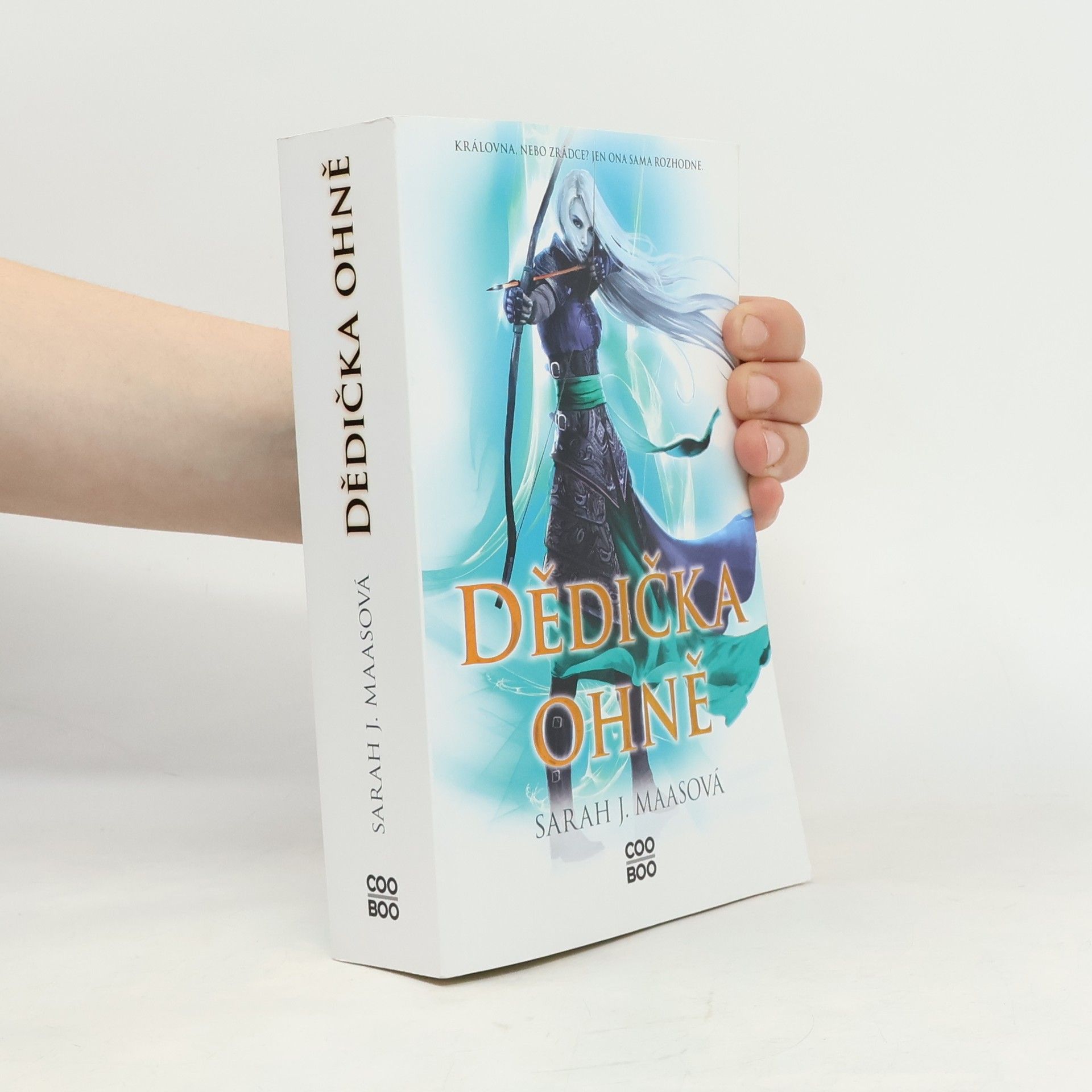 Sarah J. Maas Dědička ohně