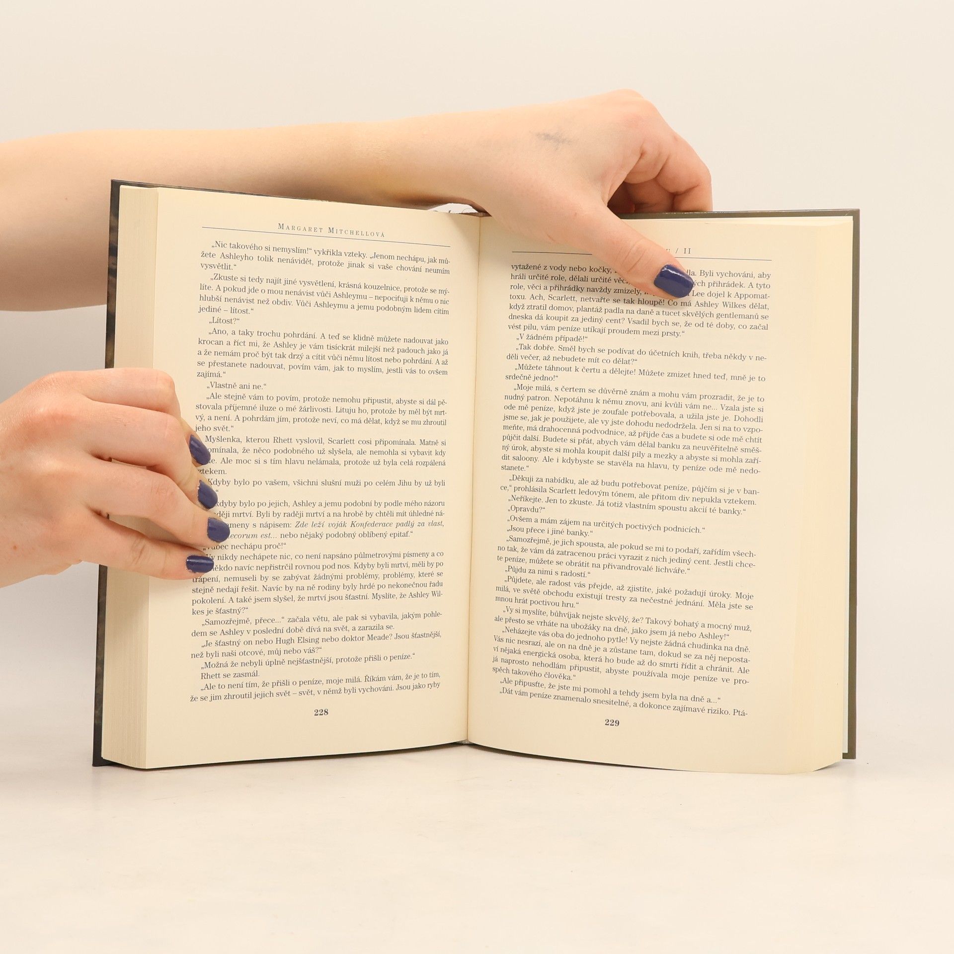 Margaret Mitchell Jih proti Severu 2