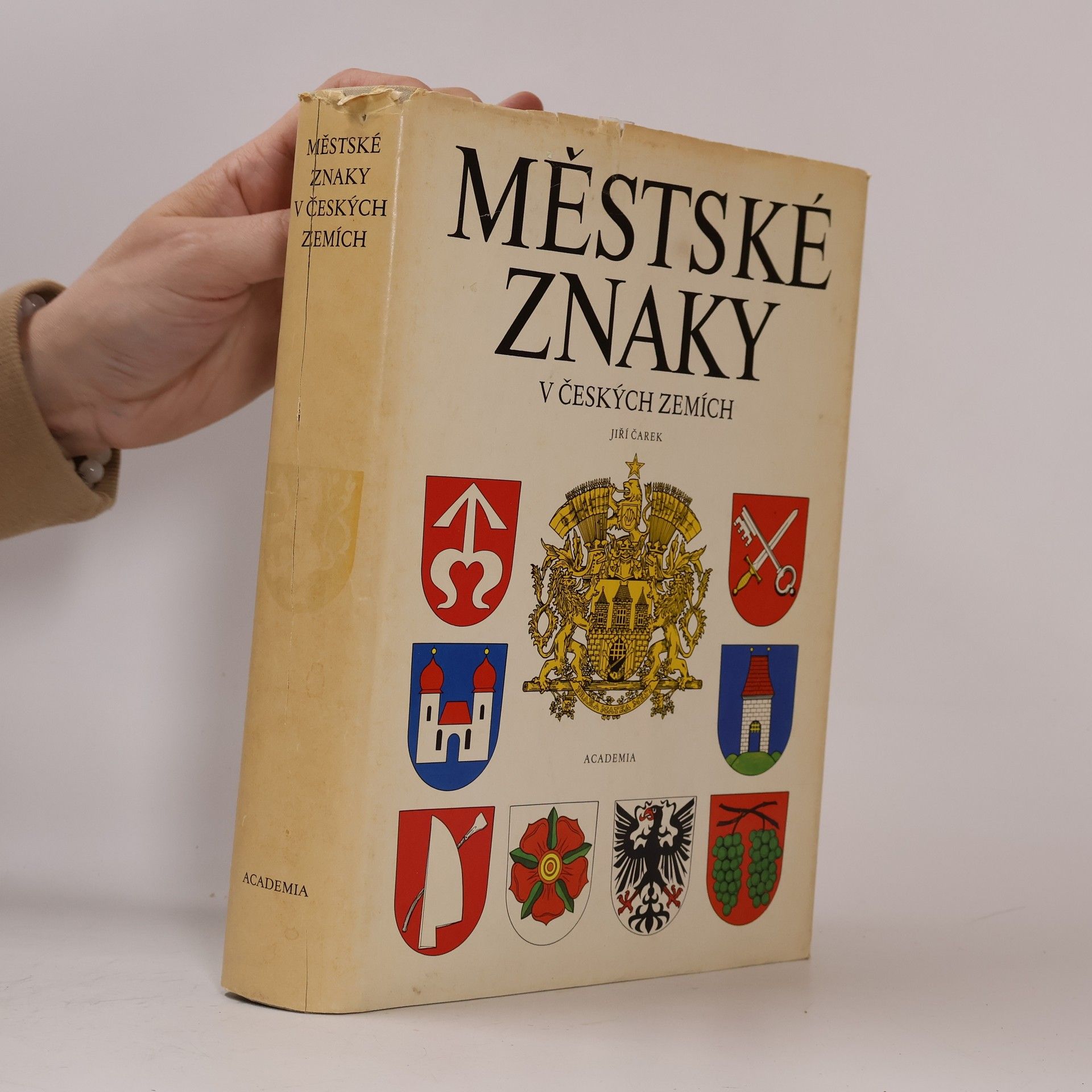 Jiří Čarek Městské znaky v českých zemích