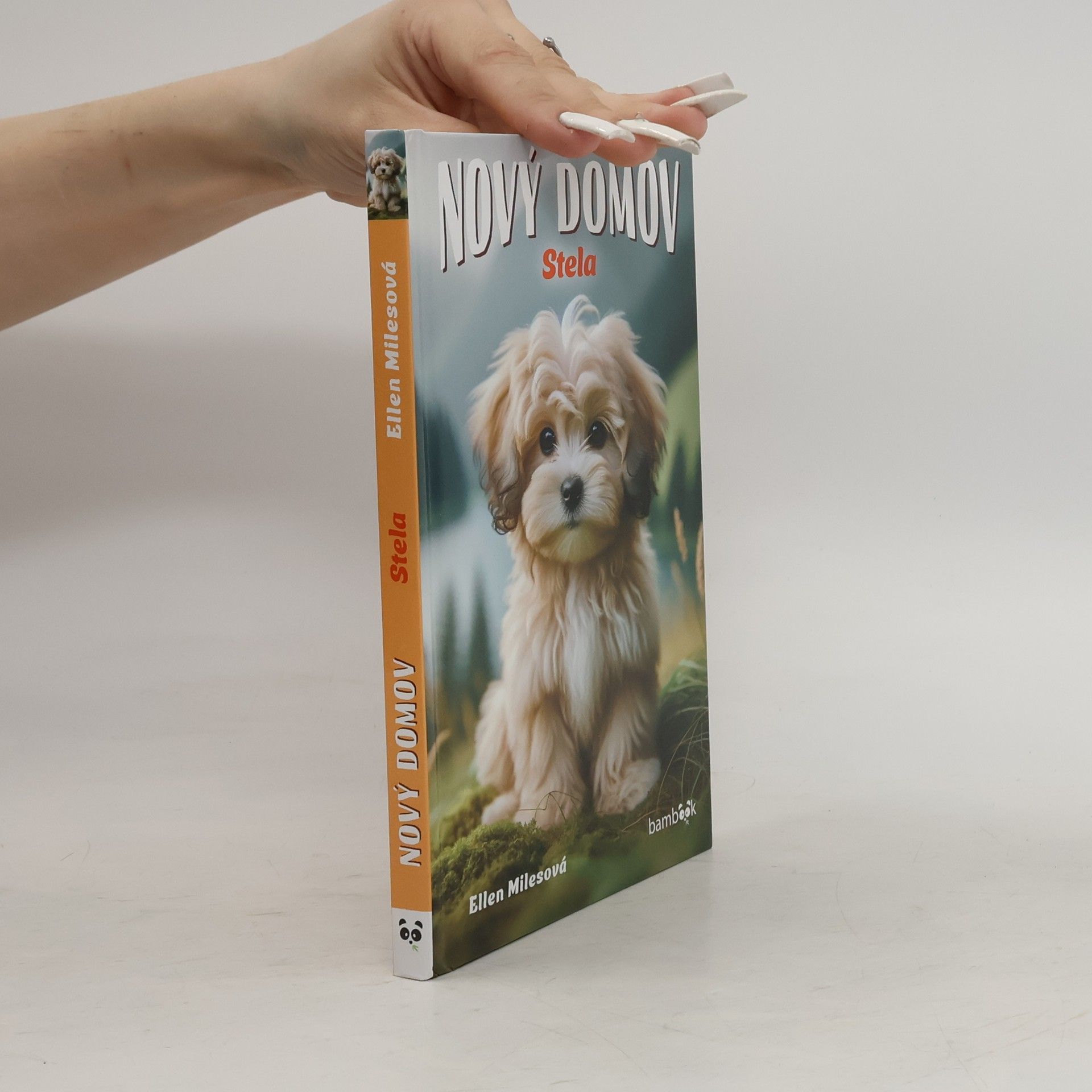 Jana Chvojková Nový domov. Stela