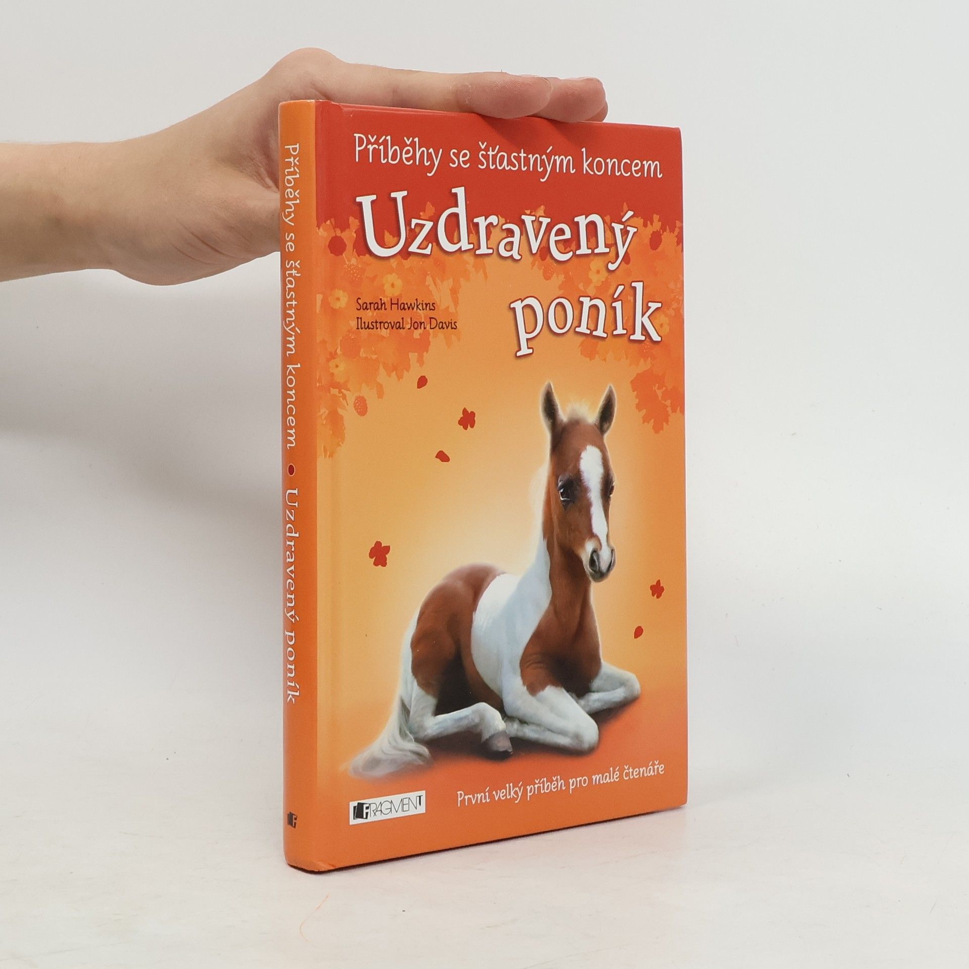 Sarah Hawkins Uzdravený poník