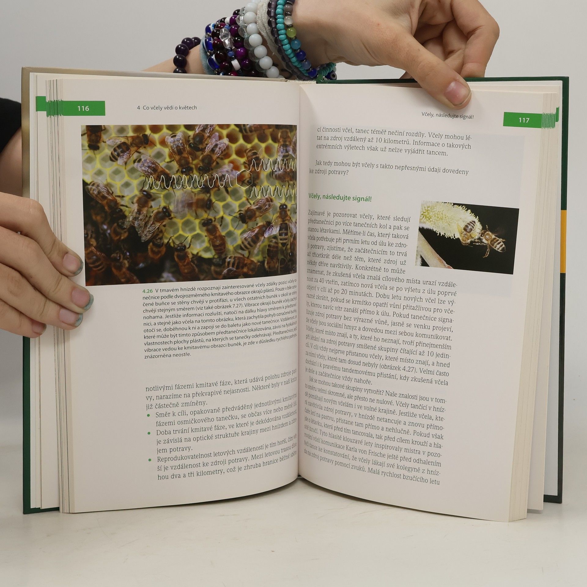 Jürgen Tautz Fenomenální včely - Biologie včelstva jako superorganizmu