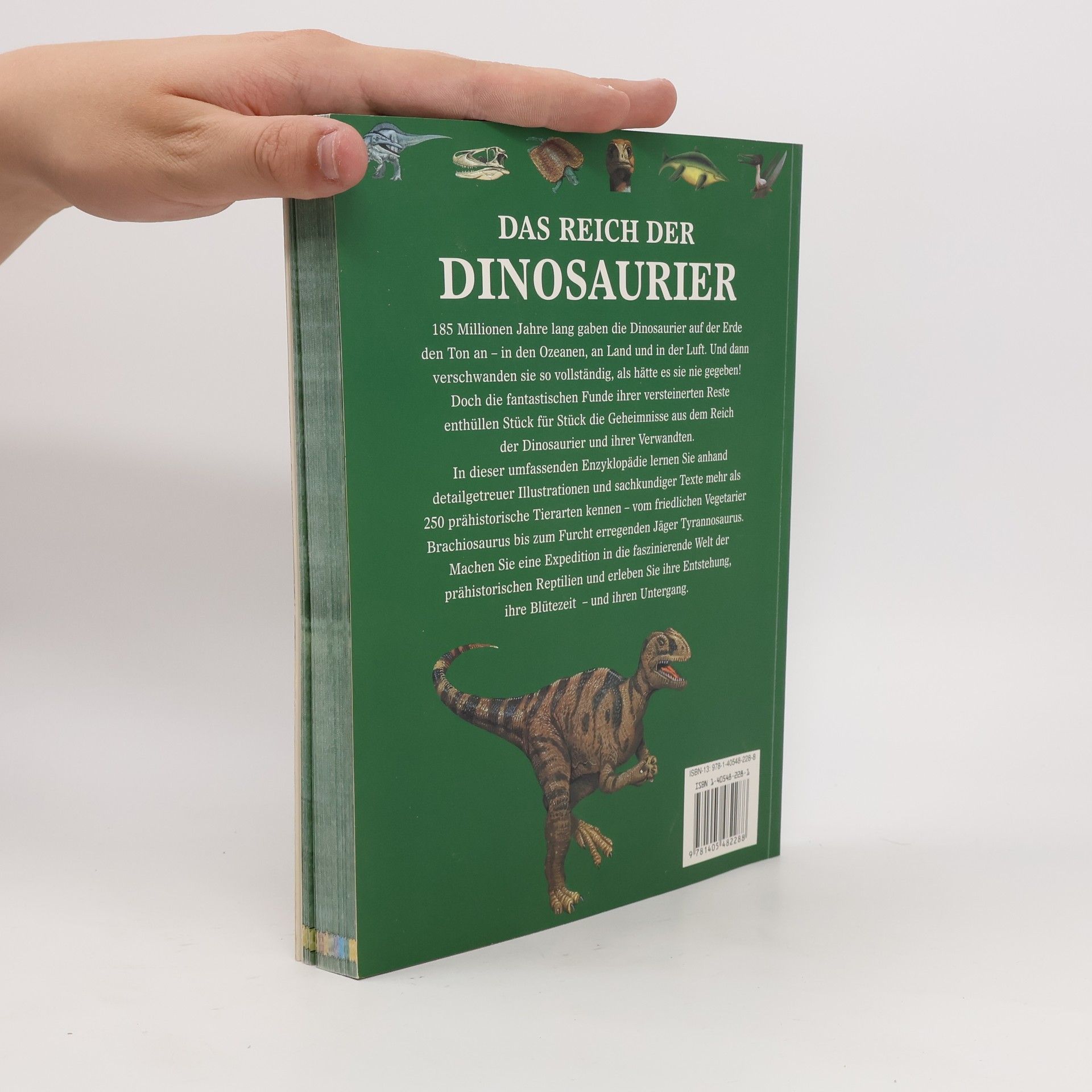 John Malam Das Reich der Dinosaurier
