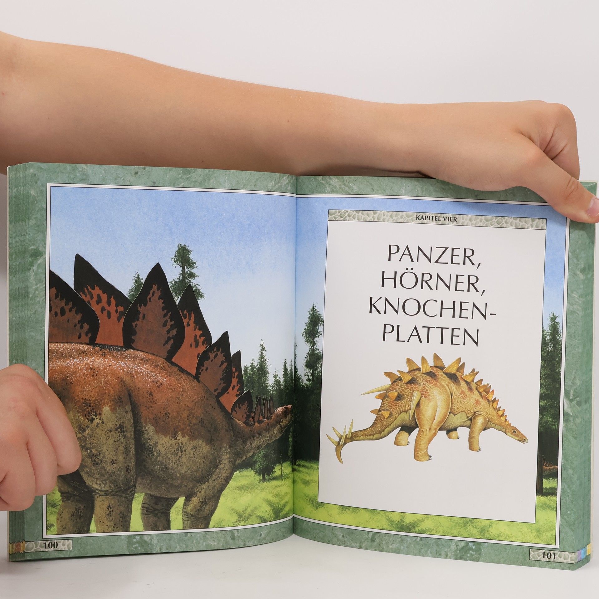 John Malam Das Reich der Dinosaurier