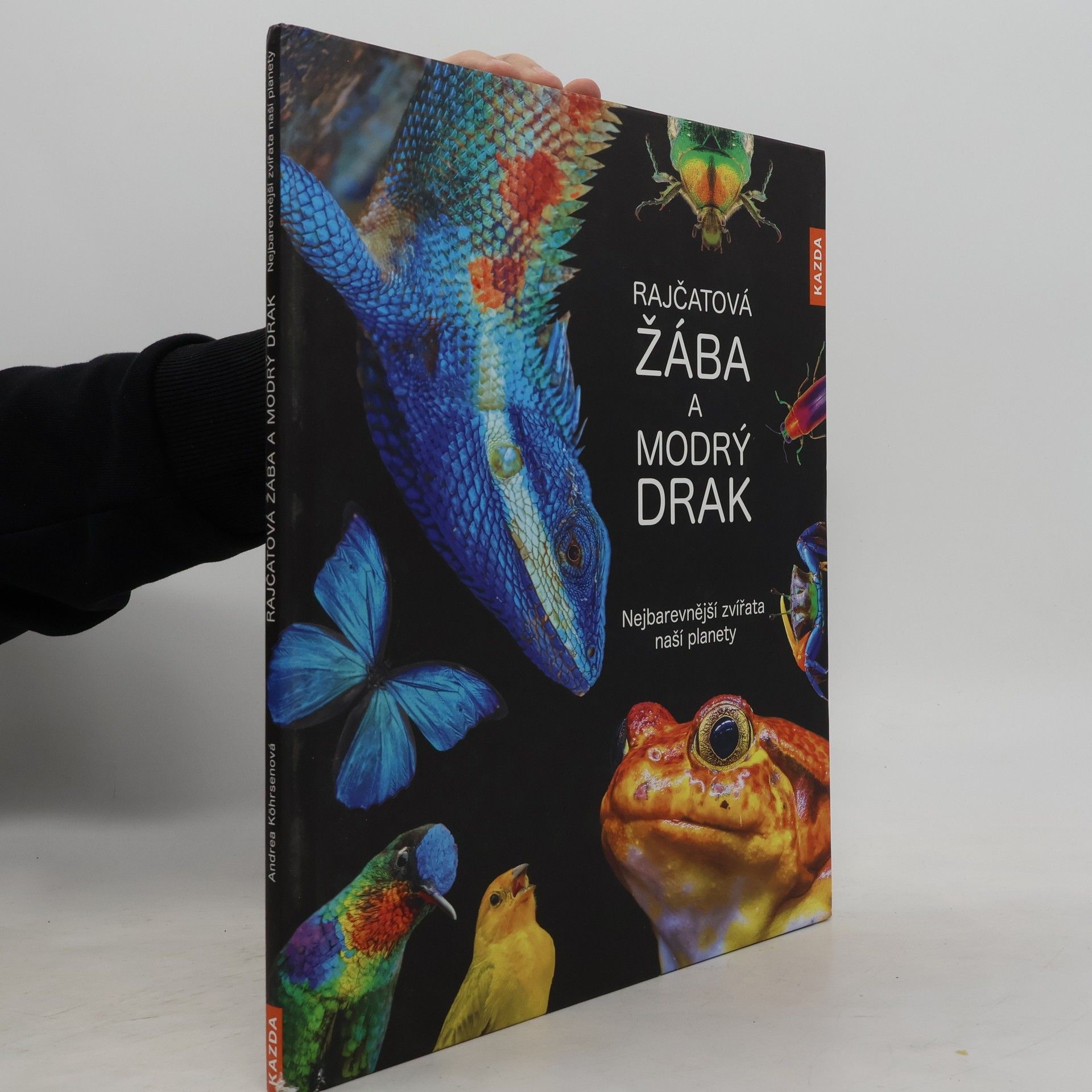 Kolektiv autorů Rajčatová žába a modrý drak: nejbarevnější zvířata naší planety