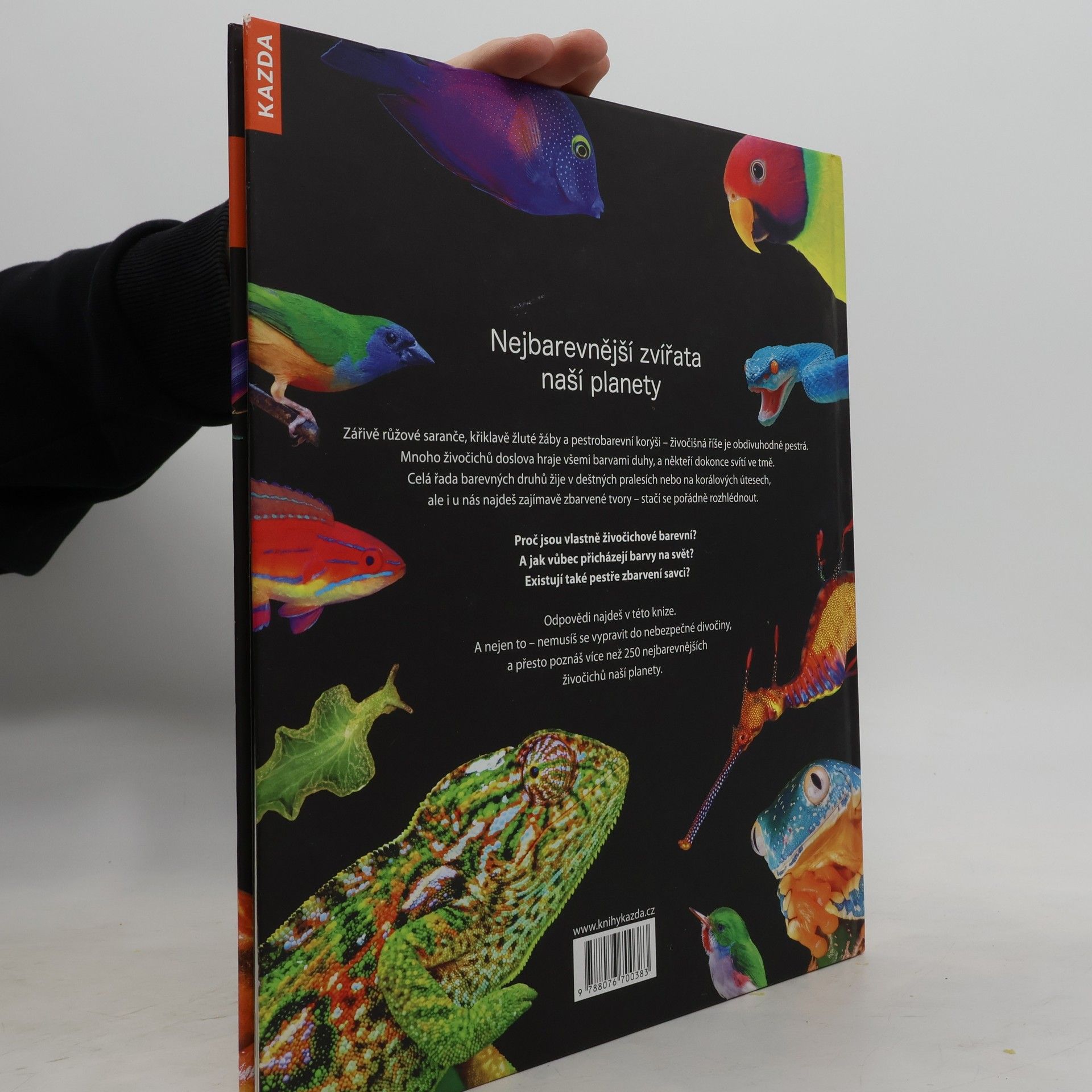 Autorenkollektiv Rajčatová žába a modrý drak: nejbarevnější zvířata naší planety
